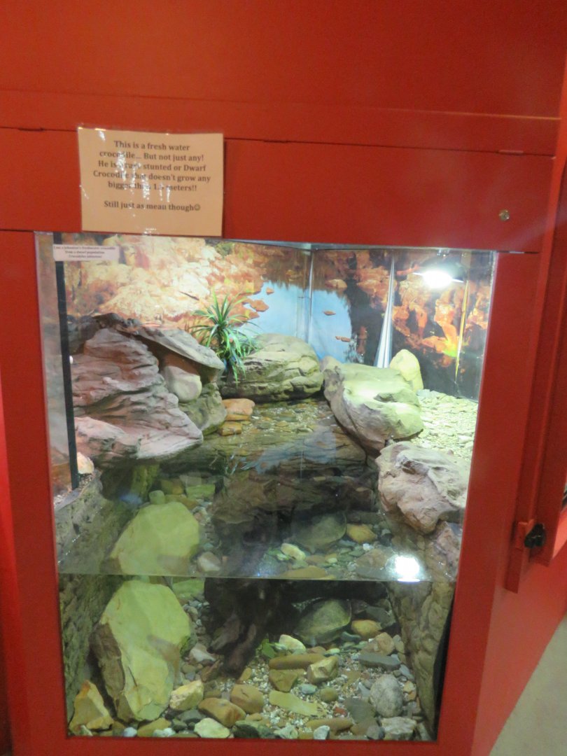 Freshwater Crocodile Exhibit