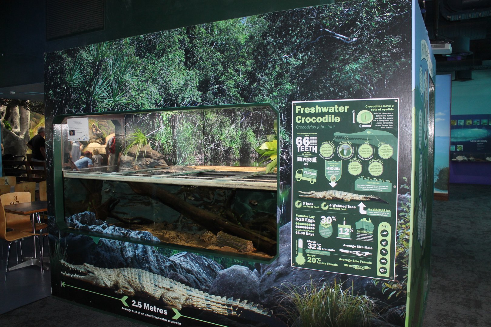 Freshwater Crocodile exhibit