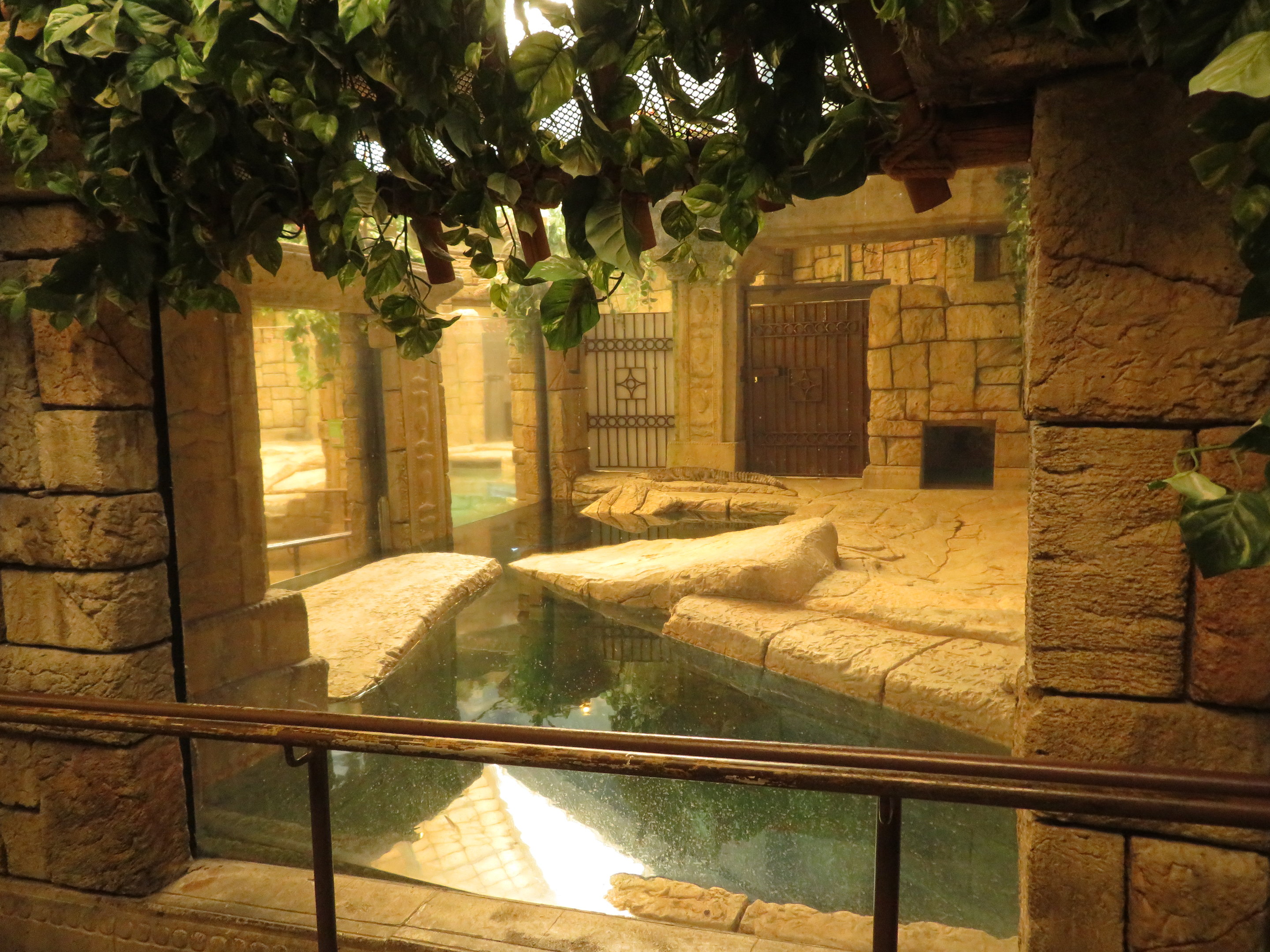 Freshwater Crocodile Exhibit