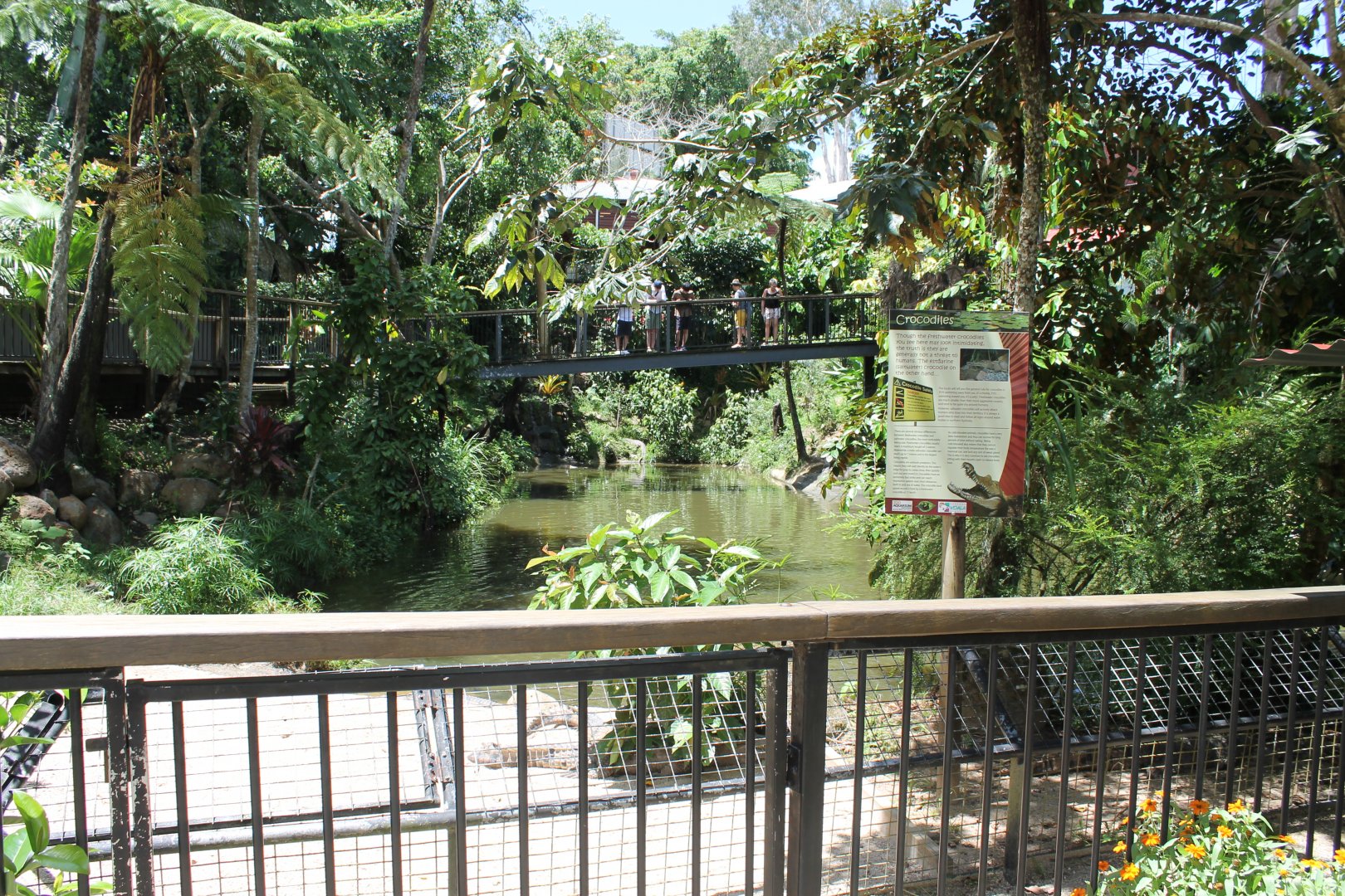 Freshwater Crocodile pond