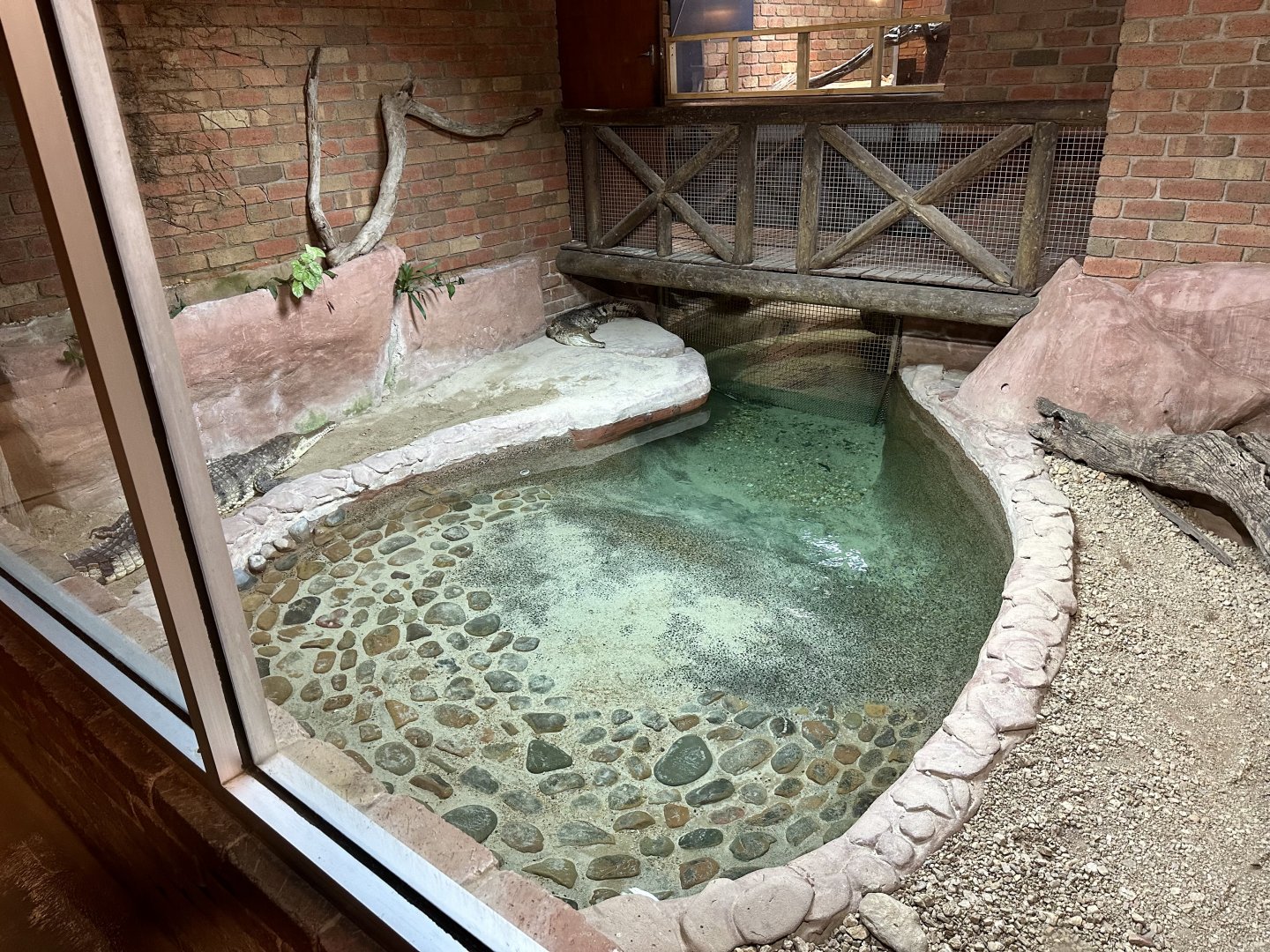 Freshwater Crocodile Pool