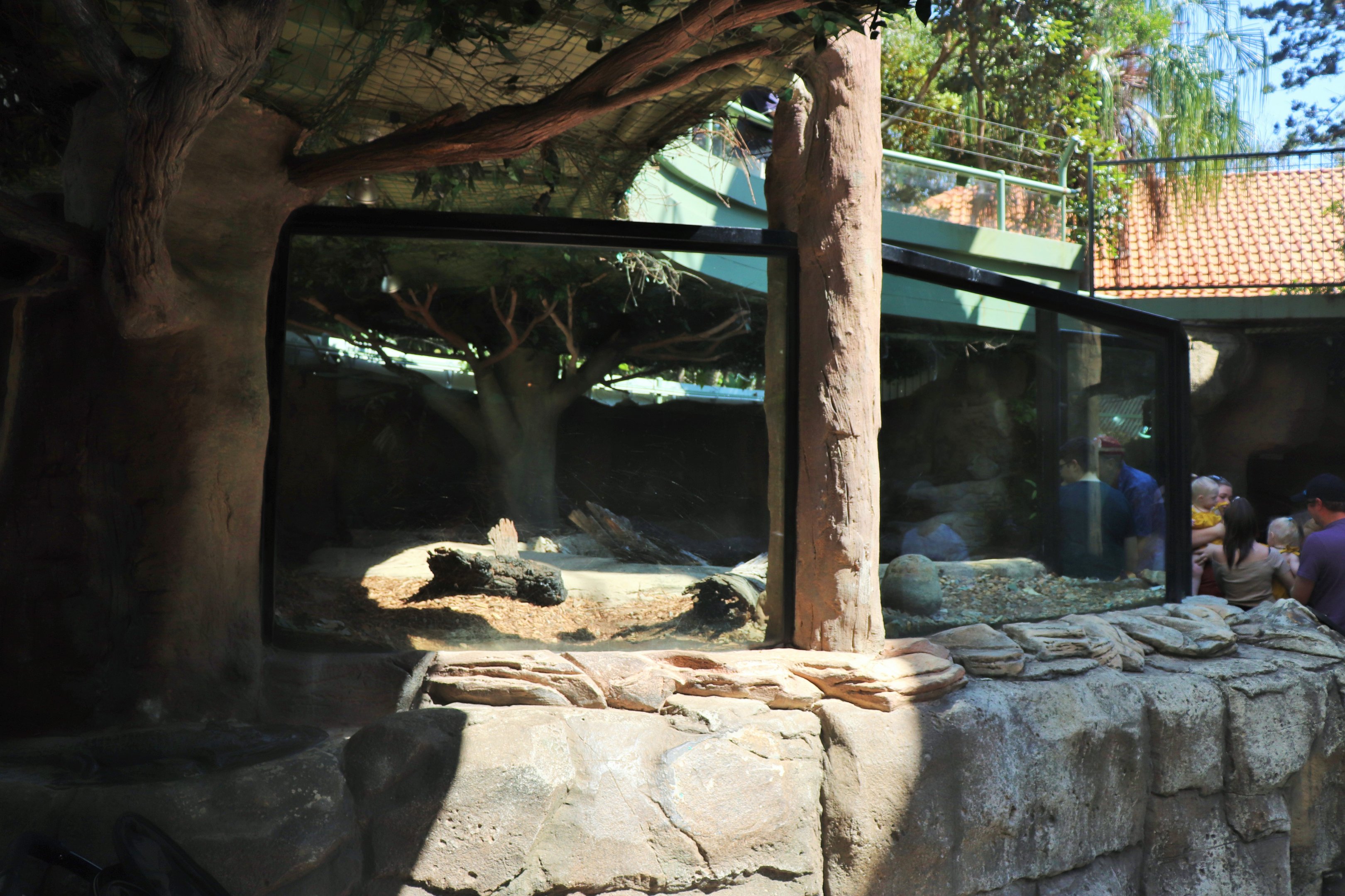 Freshwater Crocodile/Turtle Enclosure