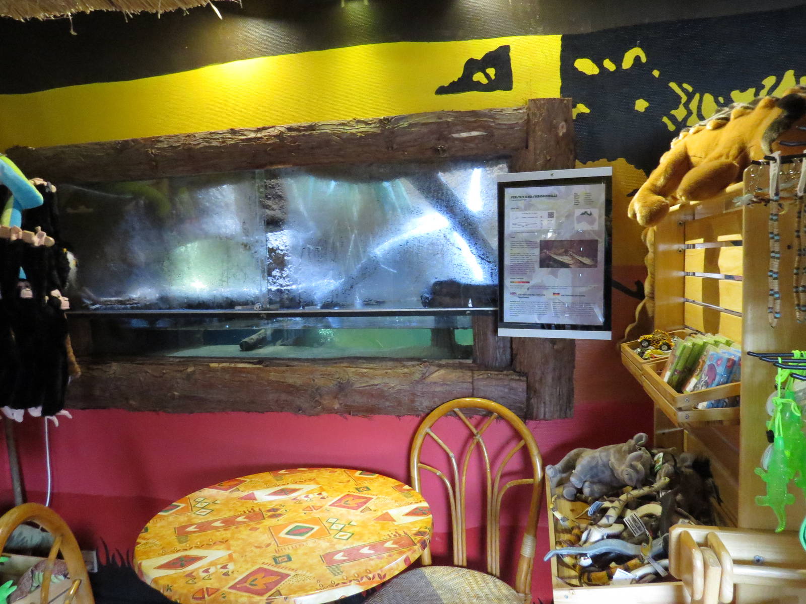 Freshwater crocodile vivarium, June 2015.