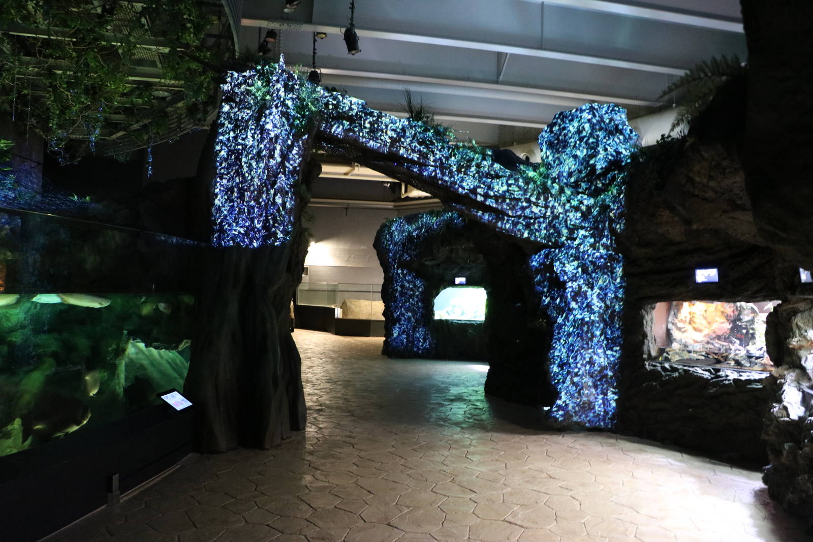 Freshwater displays - EPSON Aqua Park, February 2016