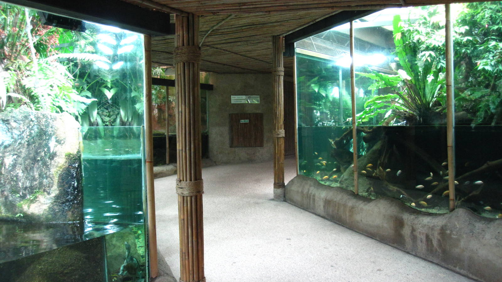 Freshwater displays, Singapore Zoo
