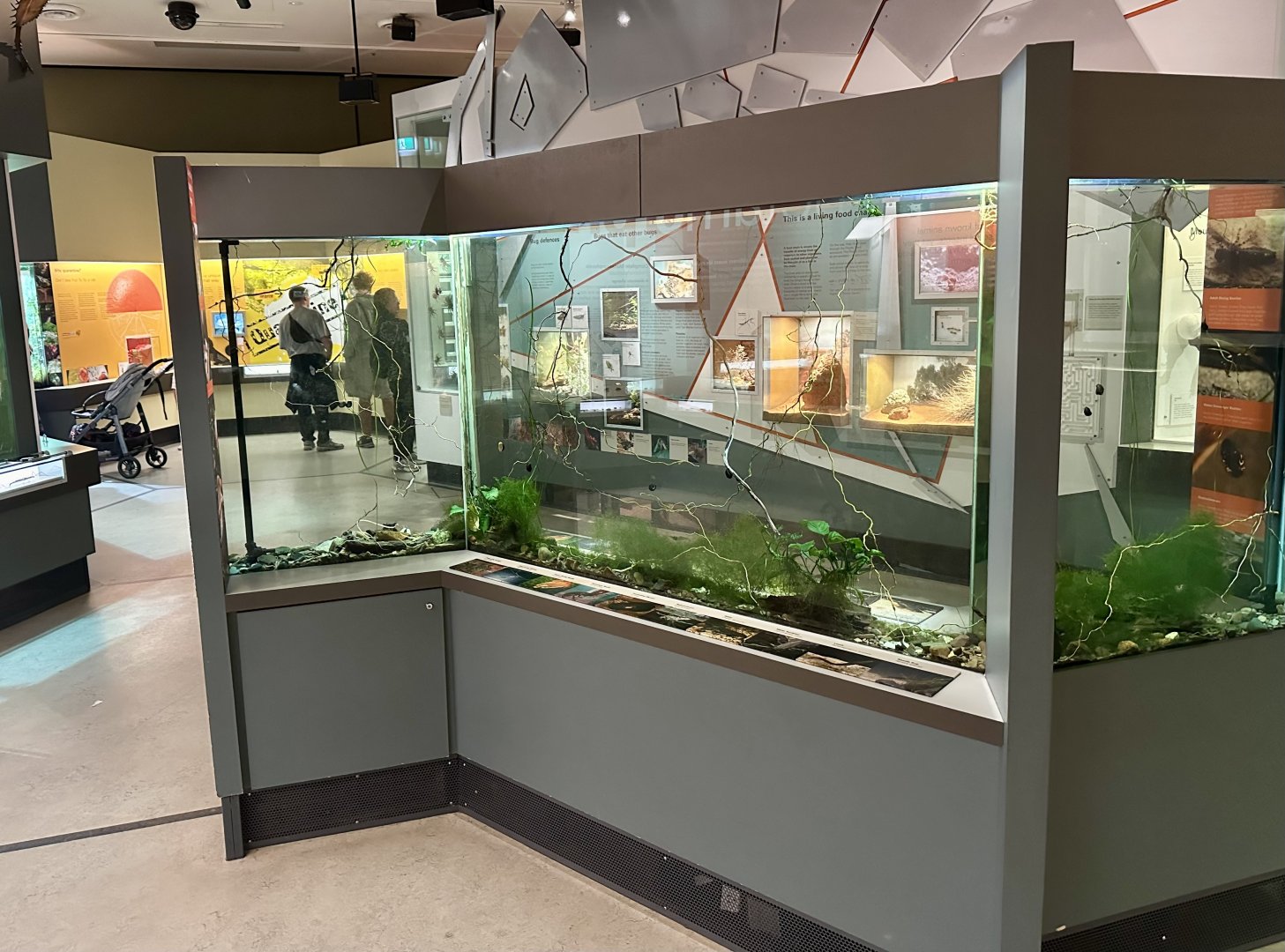 Freshwater Ecosystems Tank