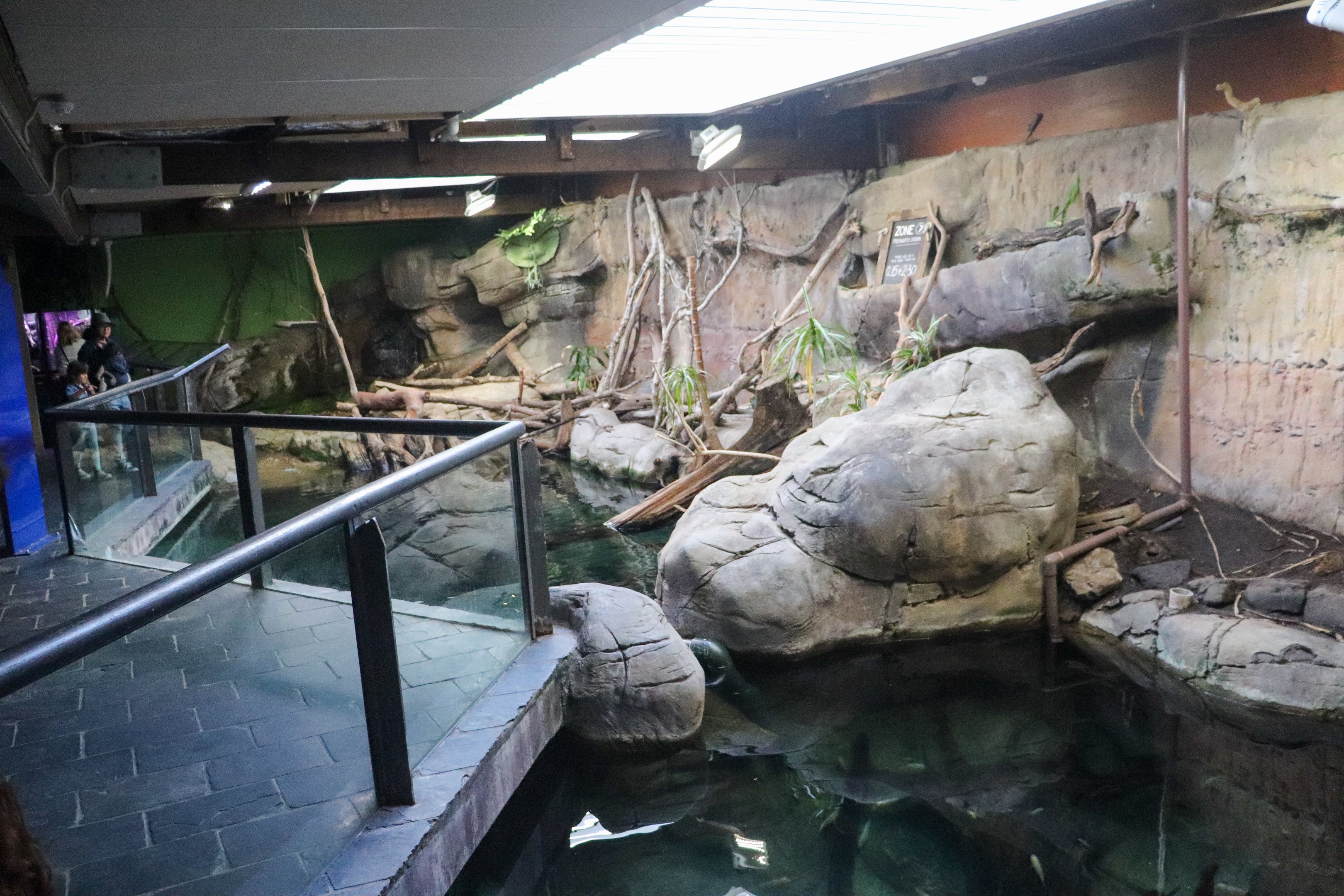 Freshwater Fish Area