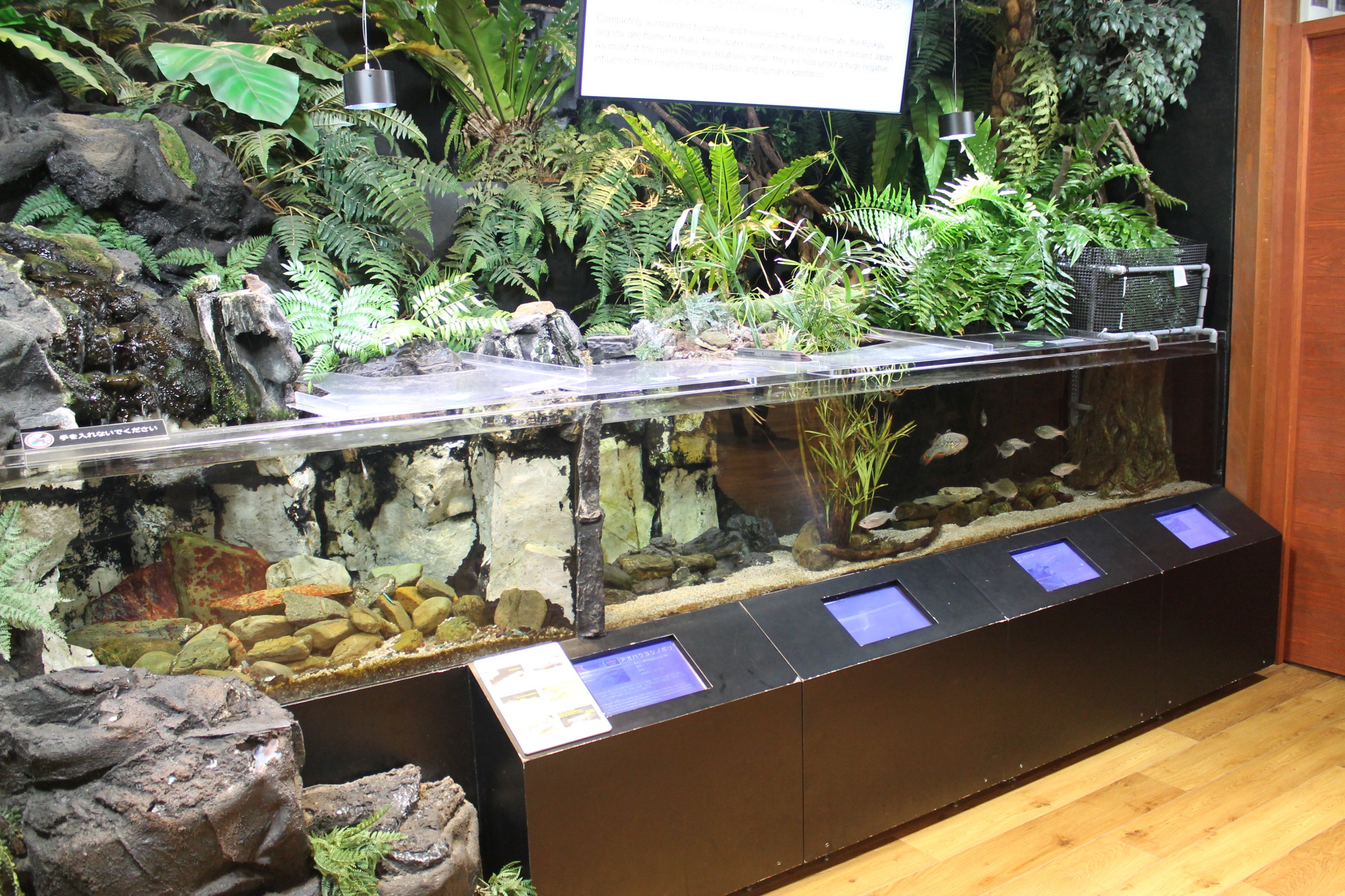 Freshwater fish exhibit