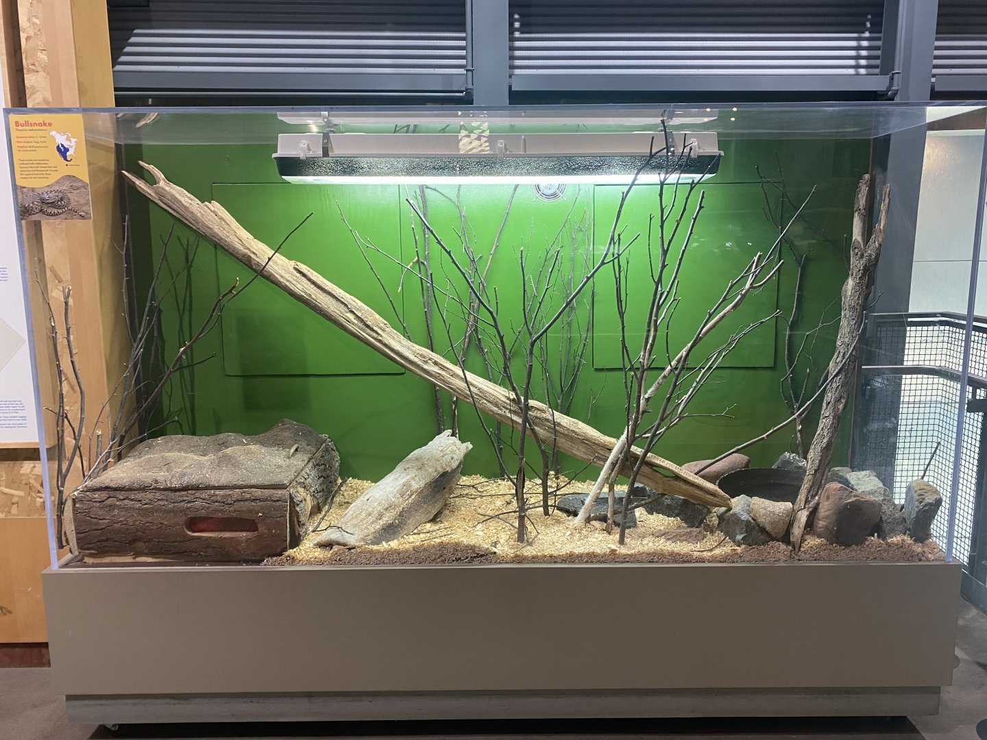 Freshwater Forest - Bullsnake Terrarium