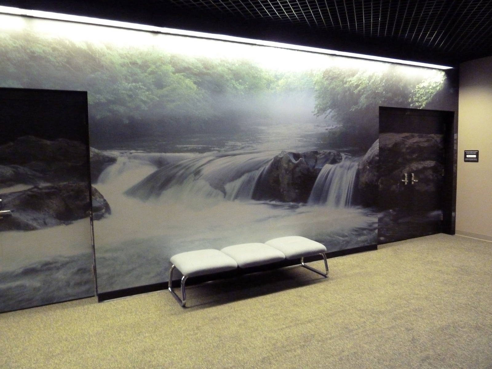Freshwater Mural