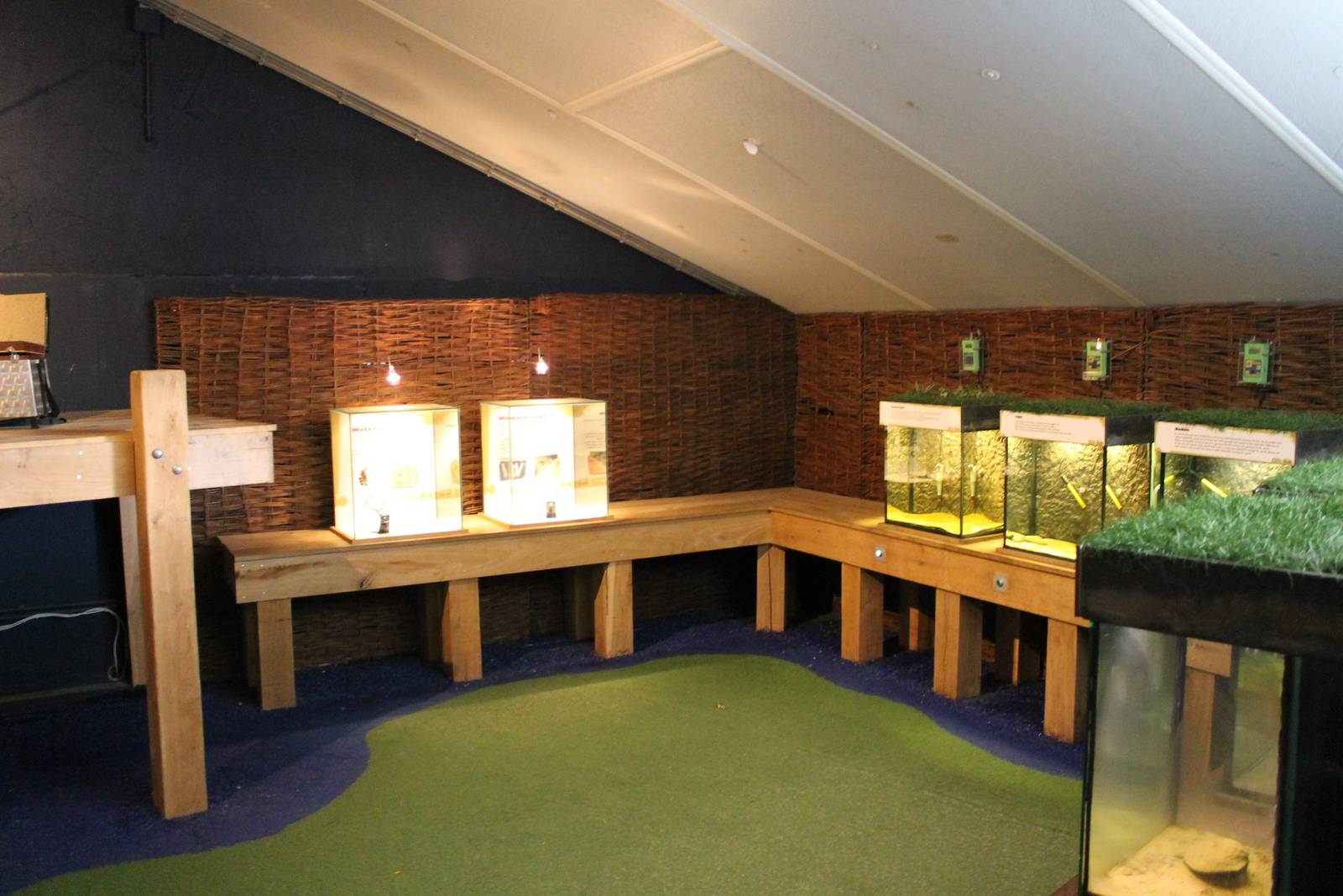 Freshwater mussel aquariums