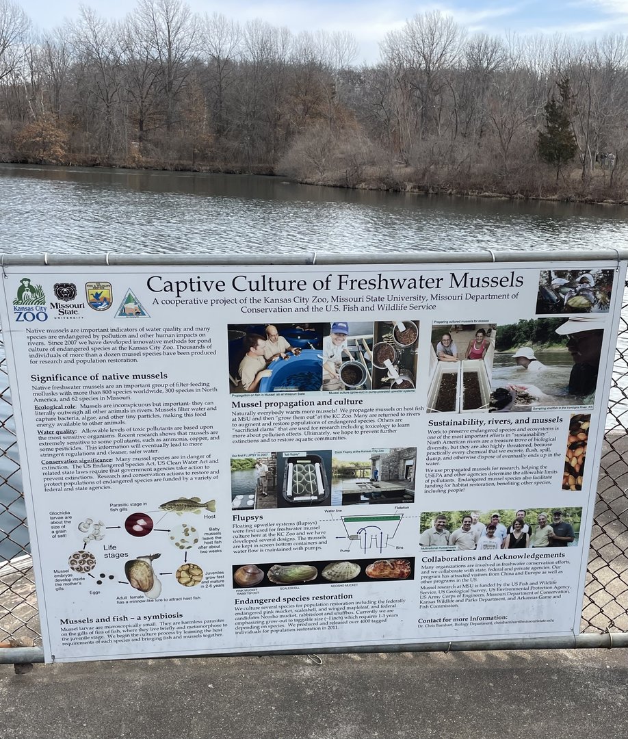 Freshwater Mussel Signage