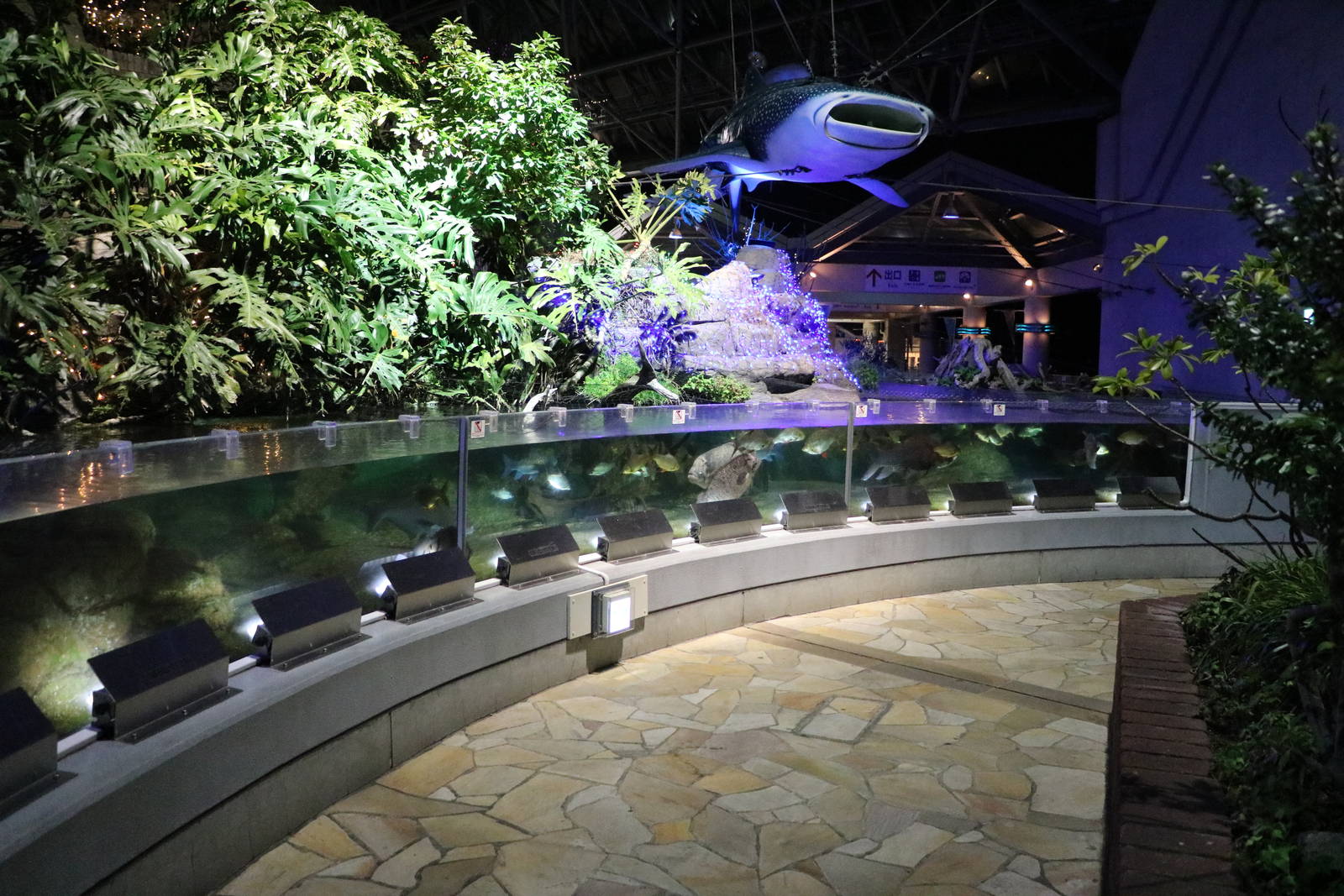 Freshwater river tanks, February 2016