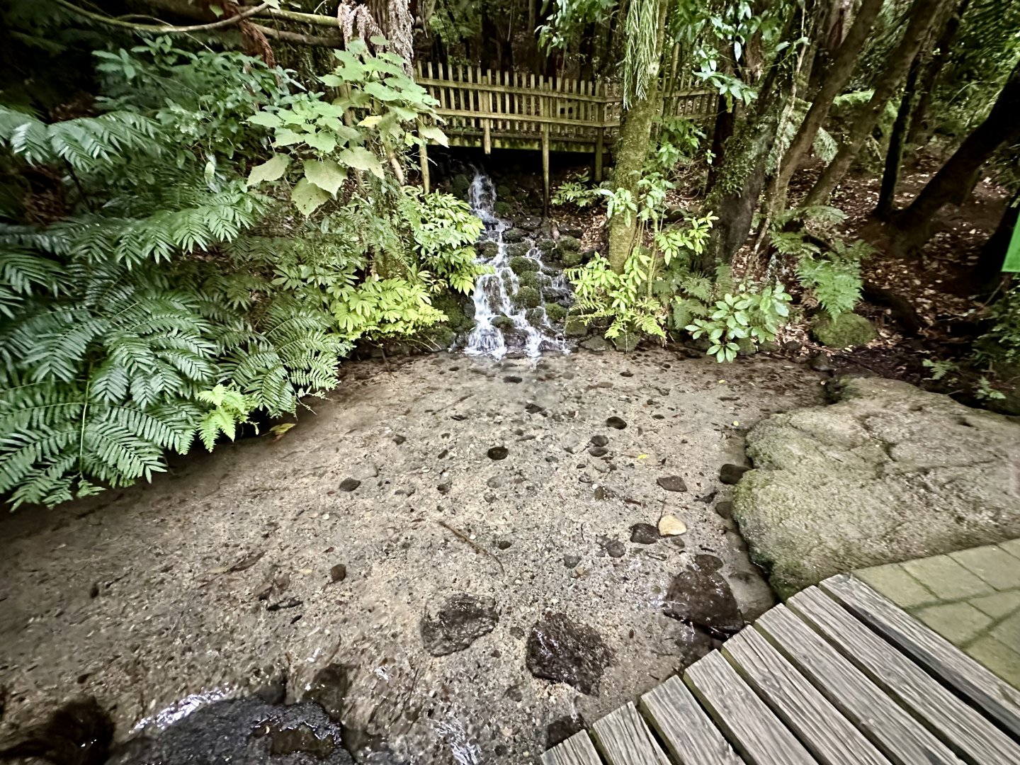 Freshwater Spring (Lower)