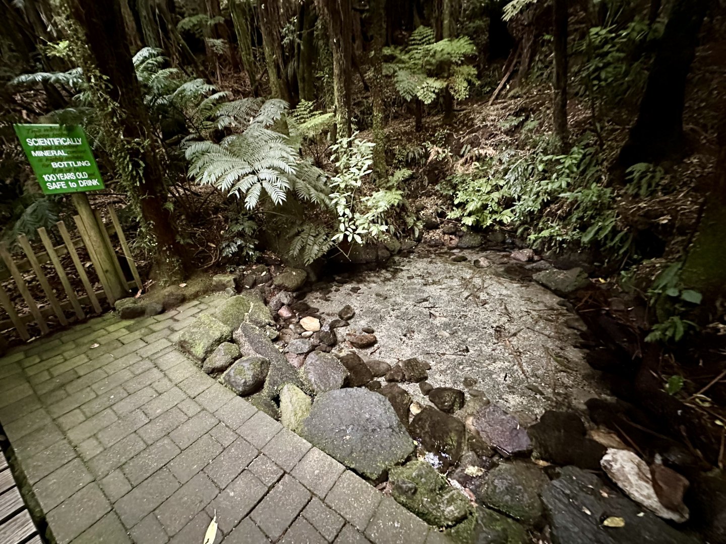 Freshwater Spring (Upper)
