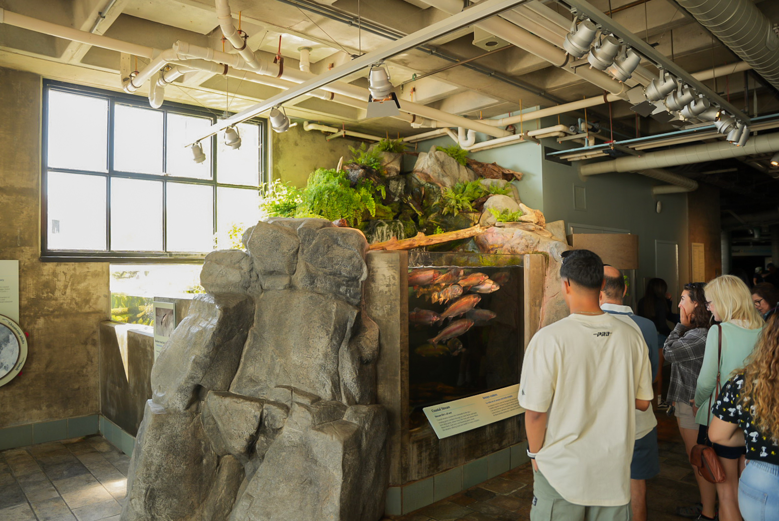 'Freshwater Stream' exhibit (indoor side)