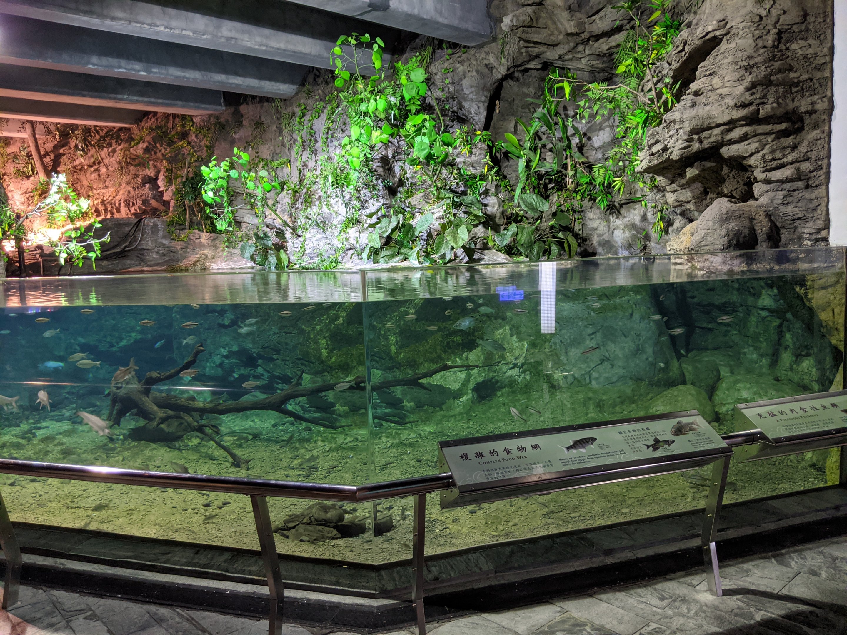 Freshwater stream tank