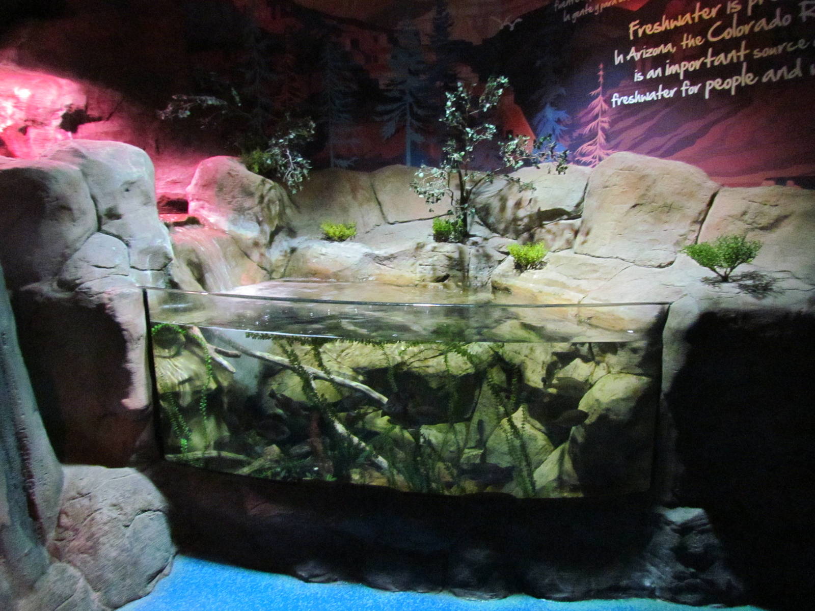 Freshwater Streams and Lake