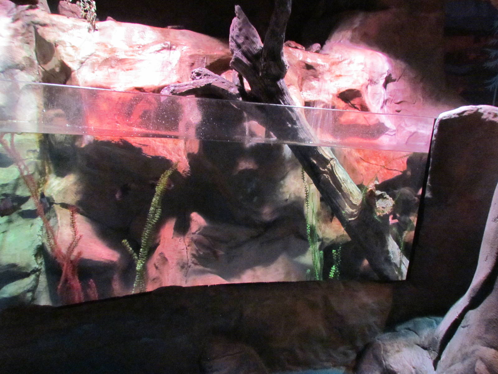 Freshwater Streams and Lake