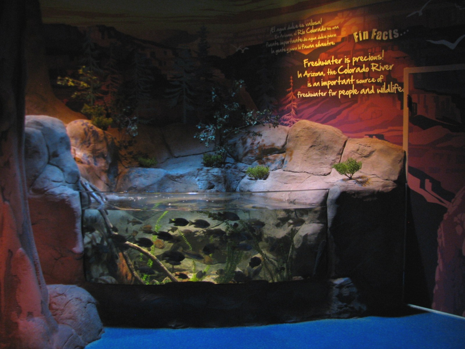 Freshwater Streams and Lakes - First Exhibit