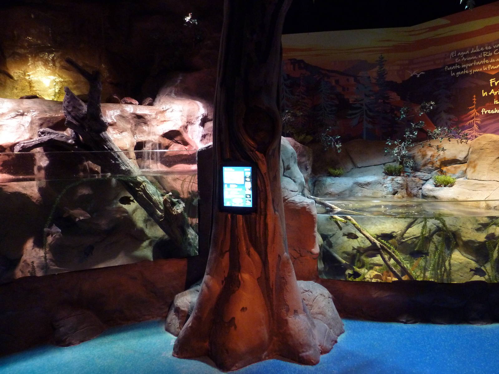 Freshwater Streams + Lakes