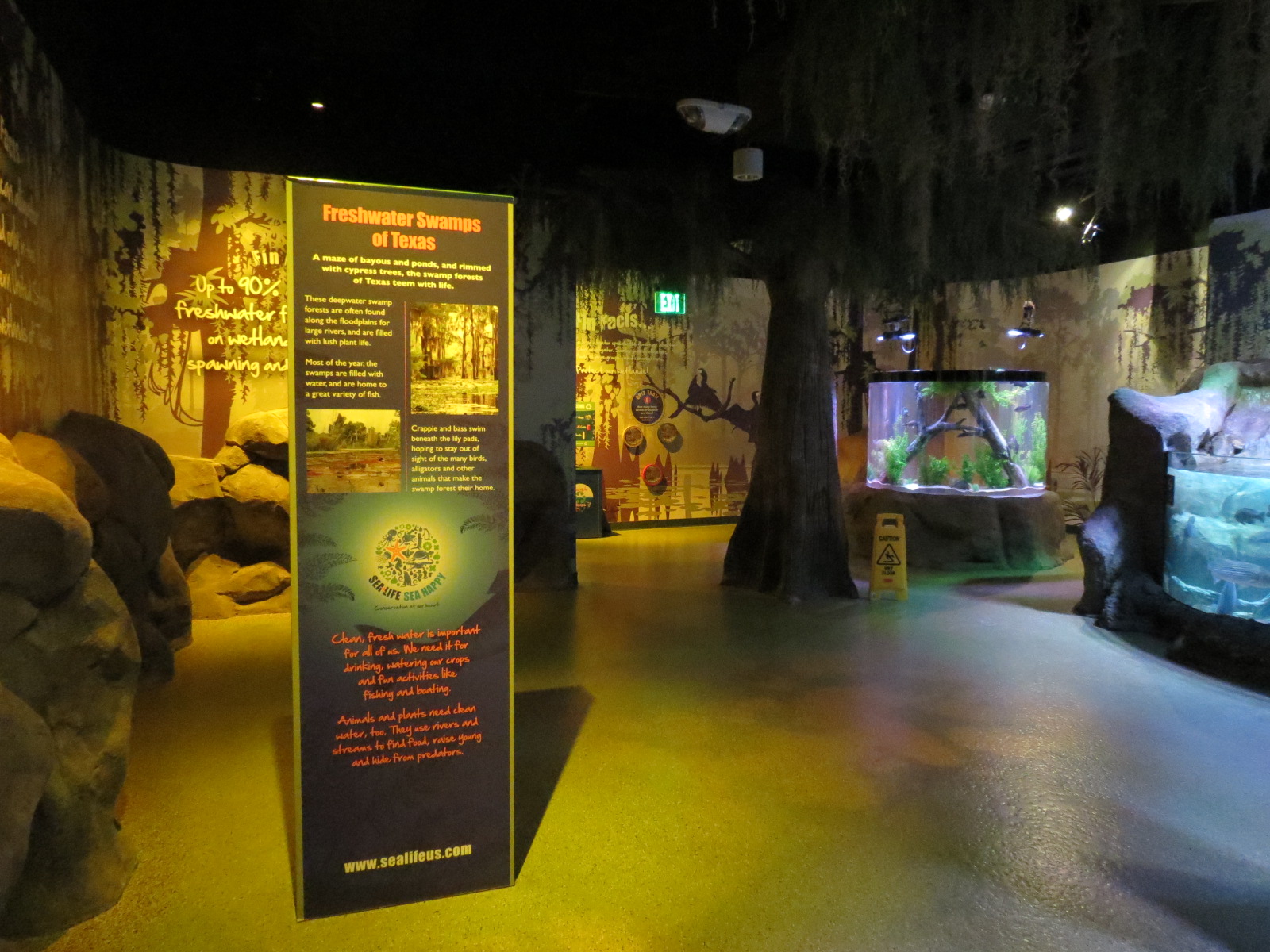 Freshwater Swamps - Interior