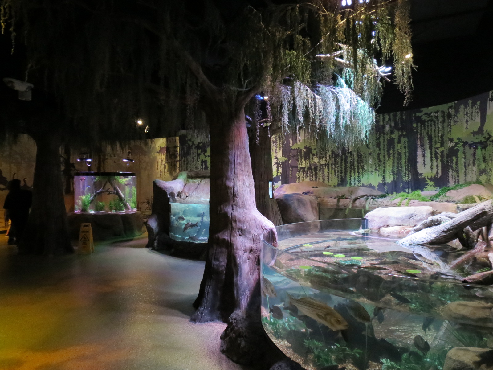 Freshwater Swamps - Interior