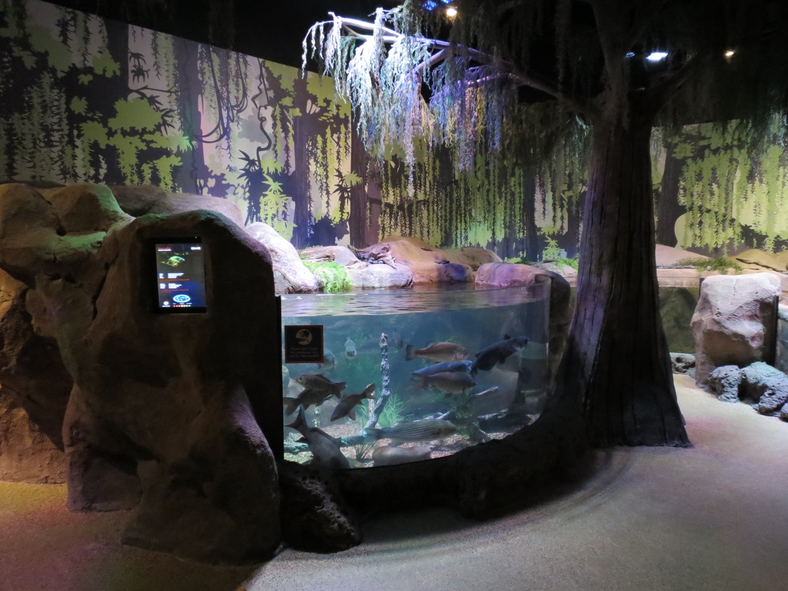 Freshwater Swamps - Third Open-top Tank