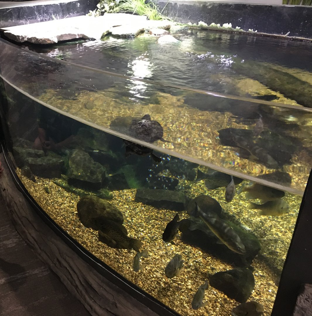 Freshwater Tank with Open Top