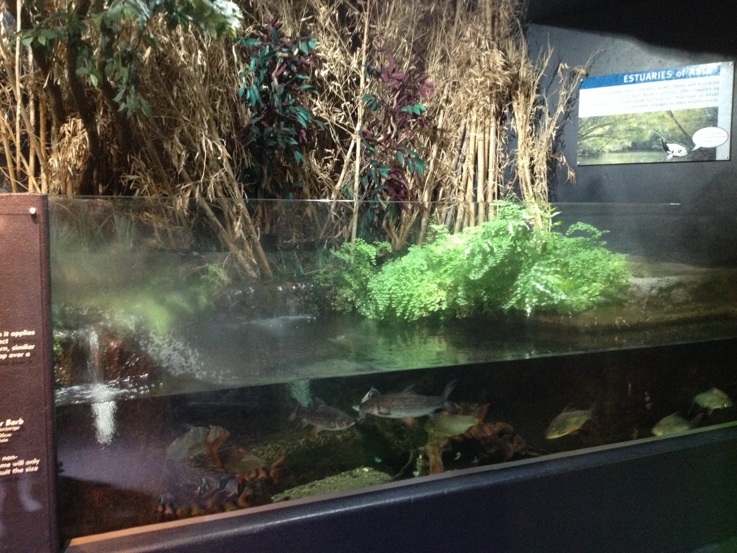 Freshwater tank
