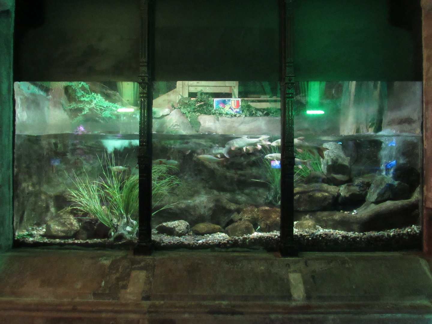 Freshwater Tank
