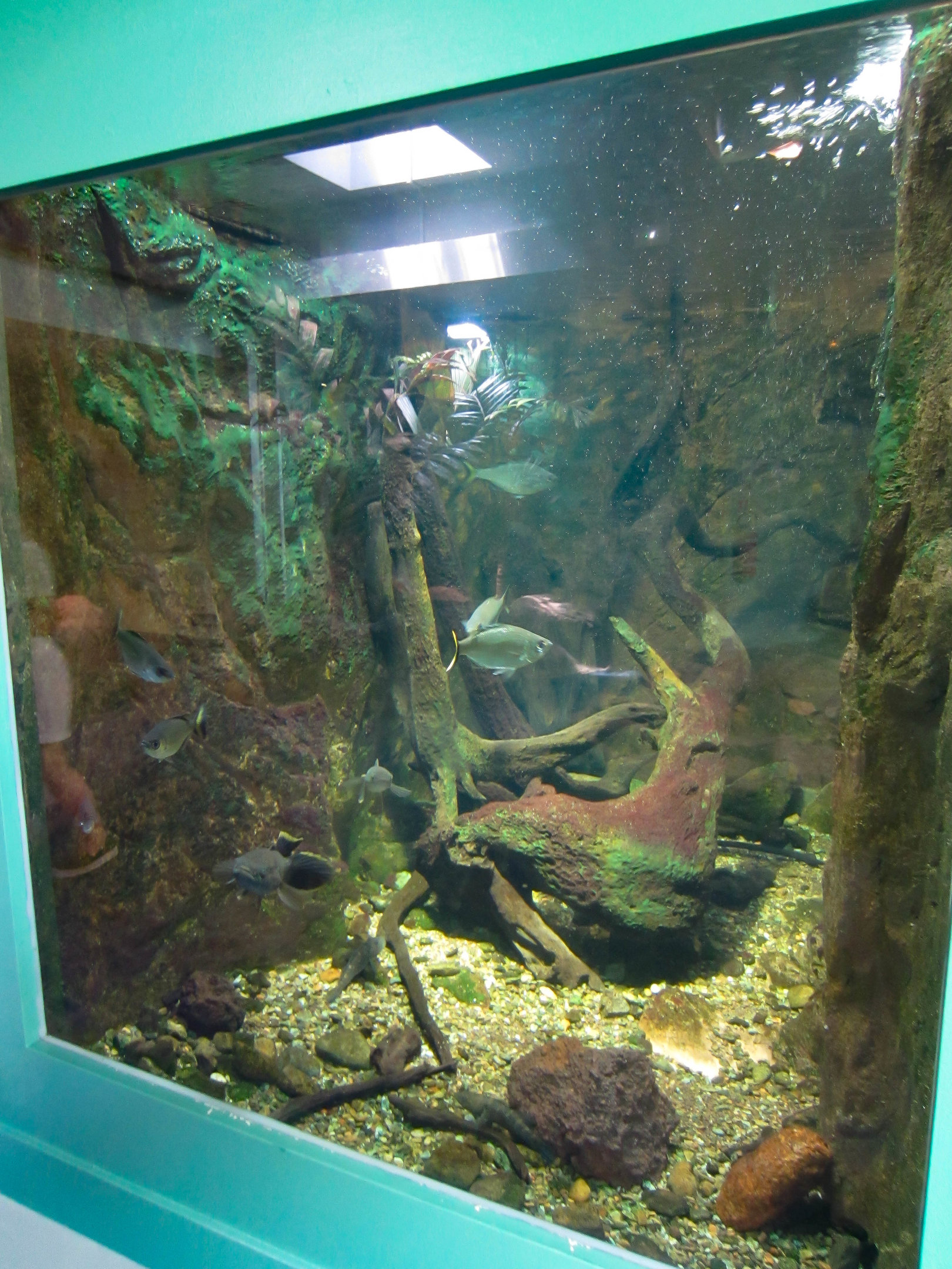 Freshwater Tank