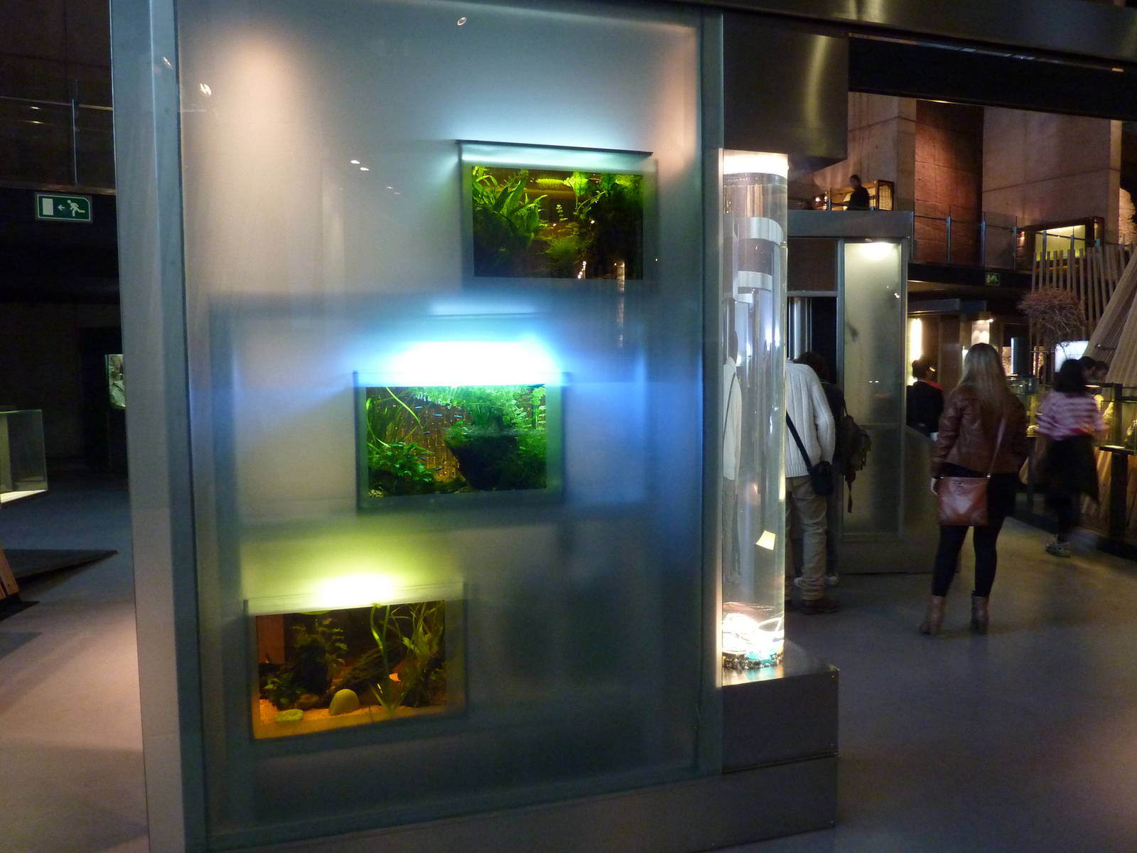 Freshwater tanks, 7th April 2012.