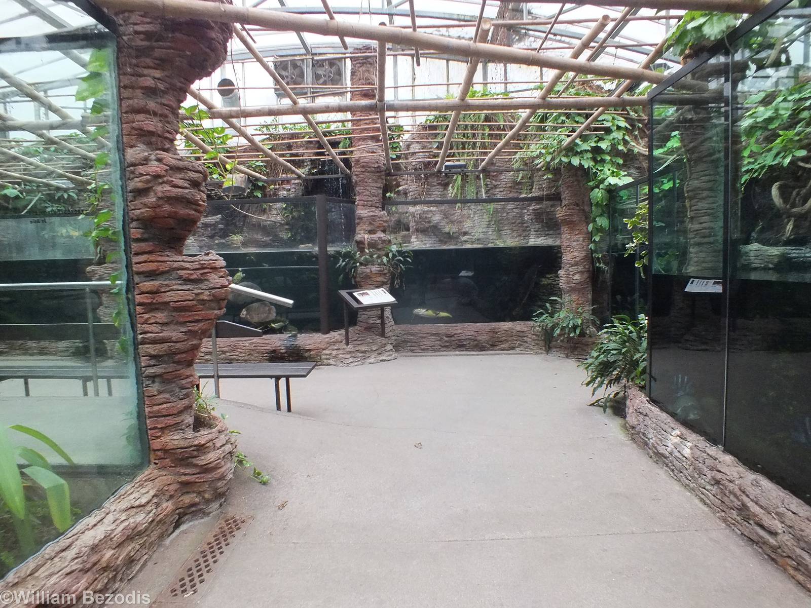 Freshwater Tanks (and corner of Tomistoma Enclosure at front left)