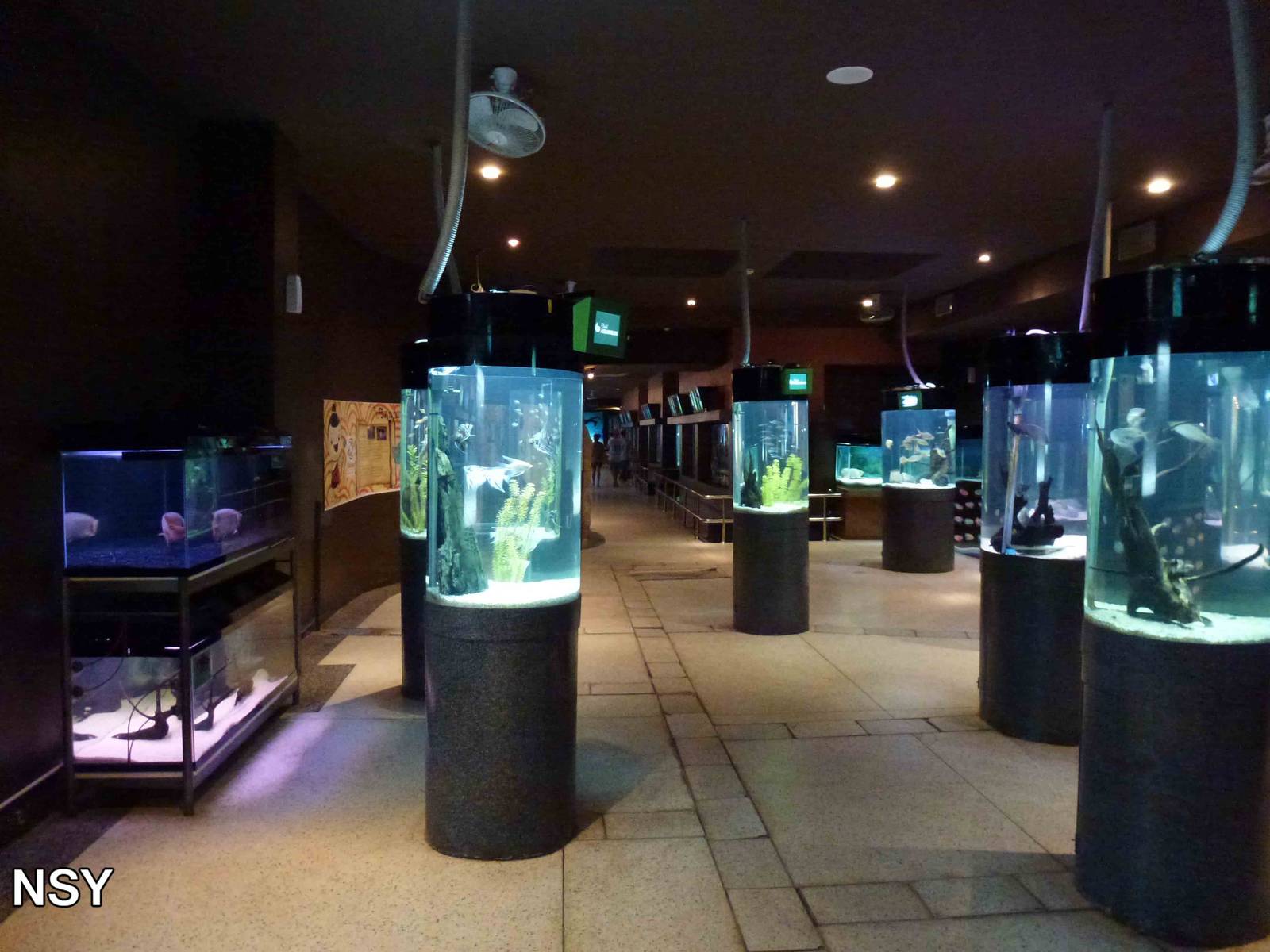 Freshwater tanks, June 2013.