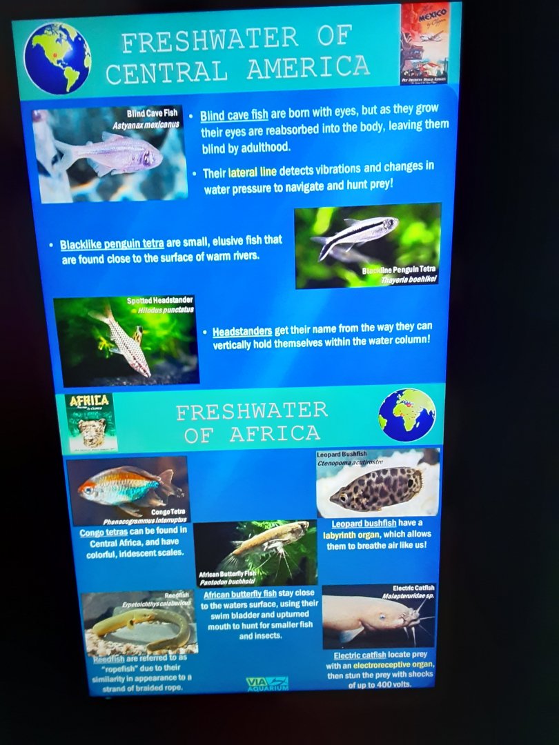 Freshwater Tanks Signage