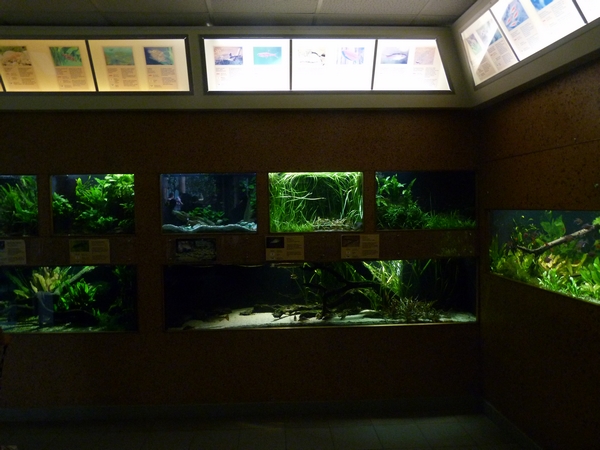 Freshwater tanks