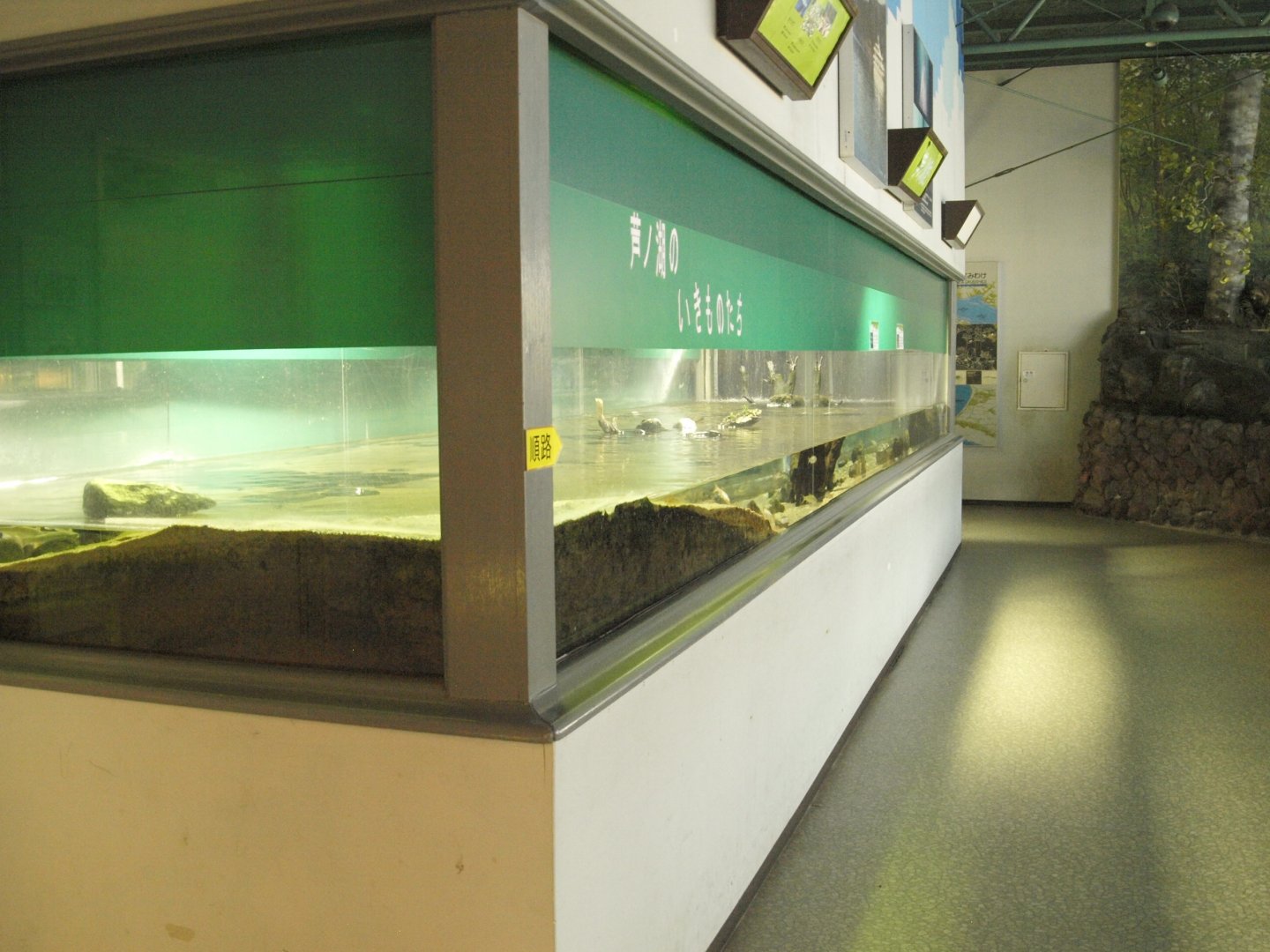 Freshwater tanks