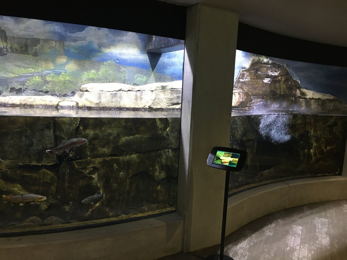 Freshwater Trout Exhibit