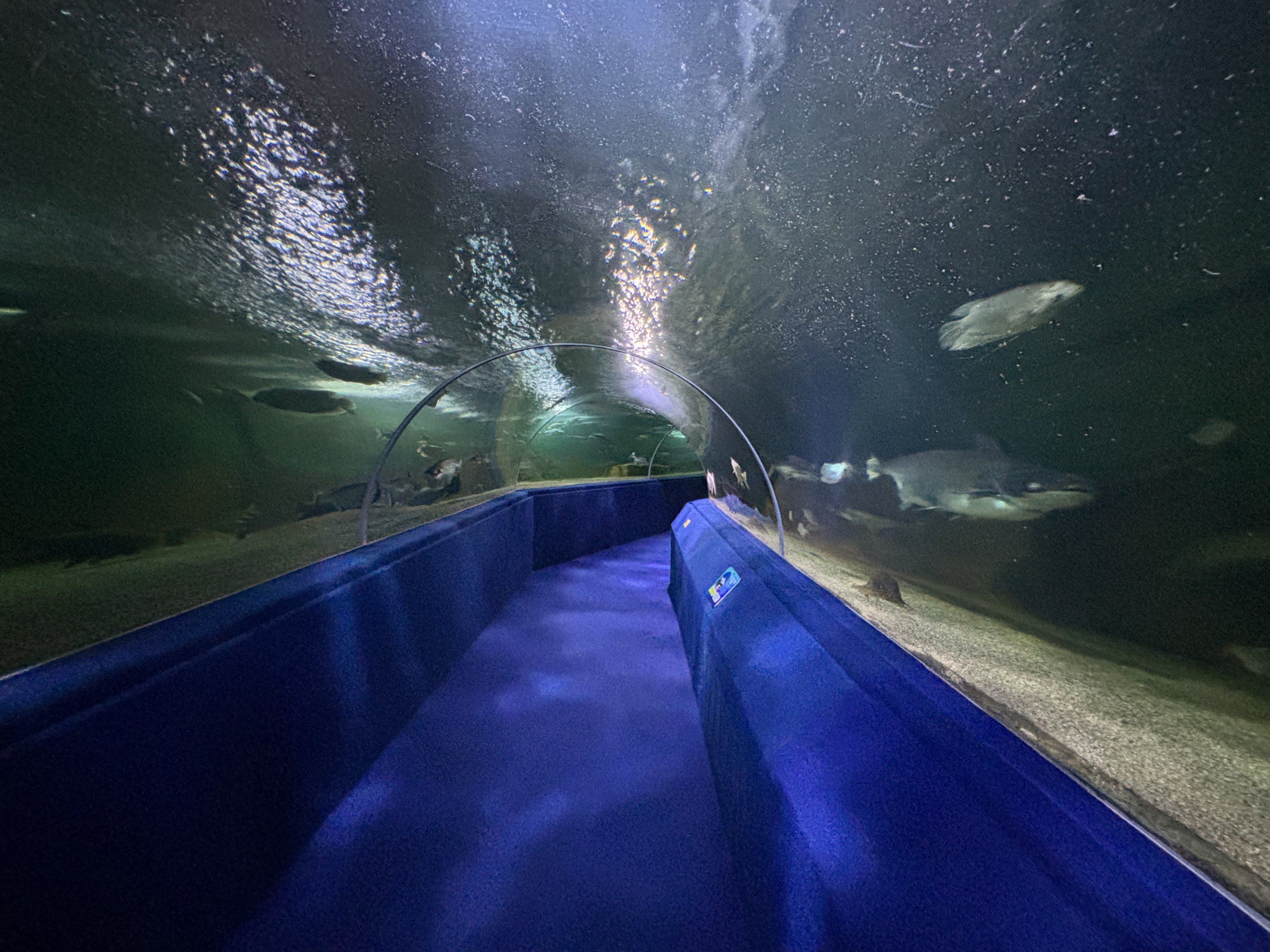 Freshwater Tunnel