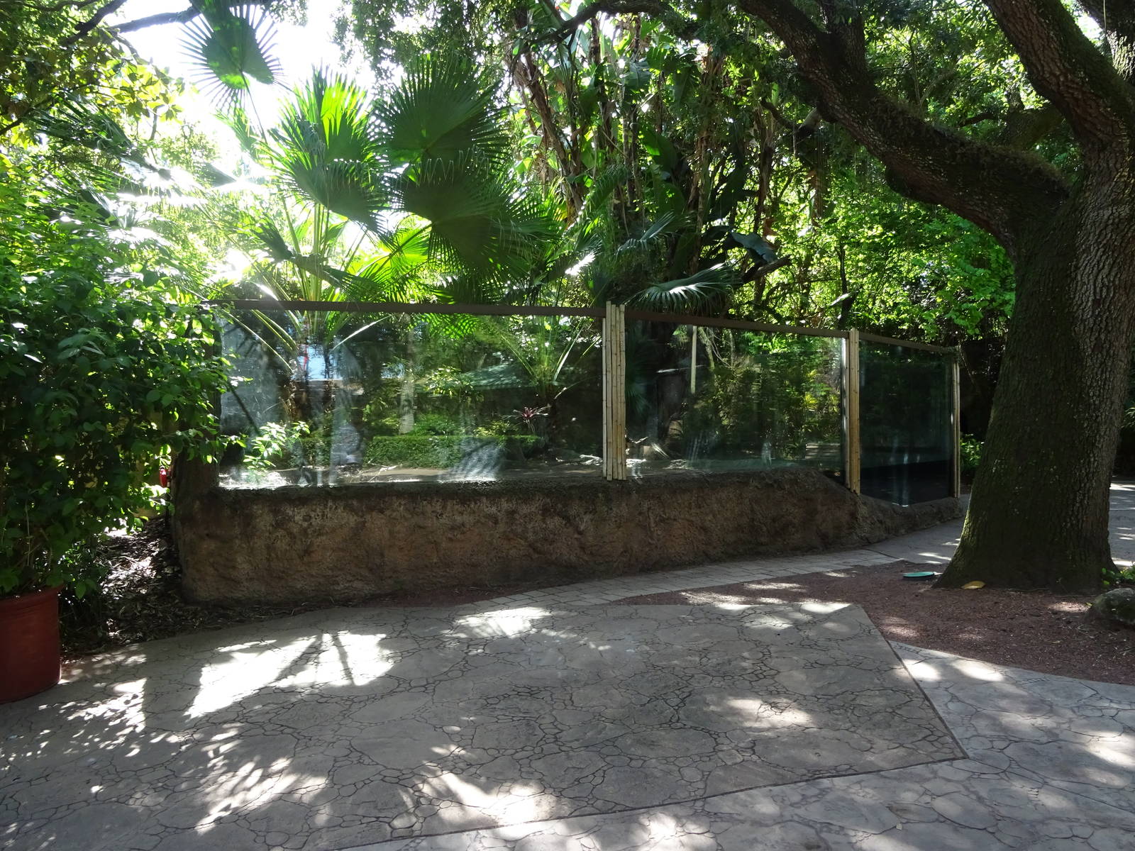 Freshwater Turtle Exhibit at Busch Gardens Tampa