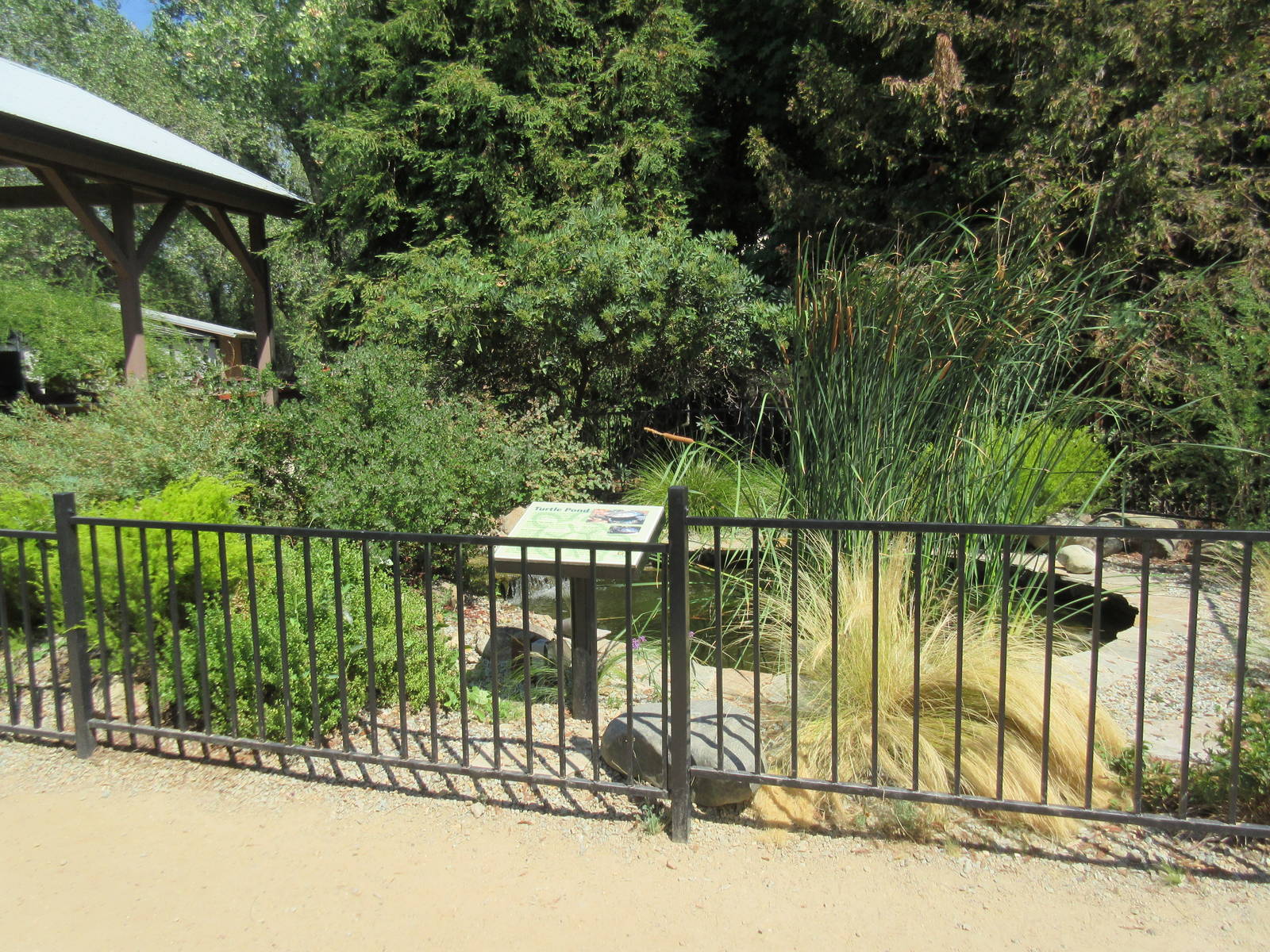 Freshwater Turtle Exhibit