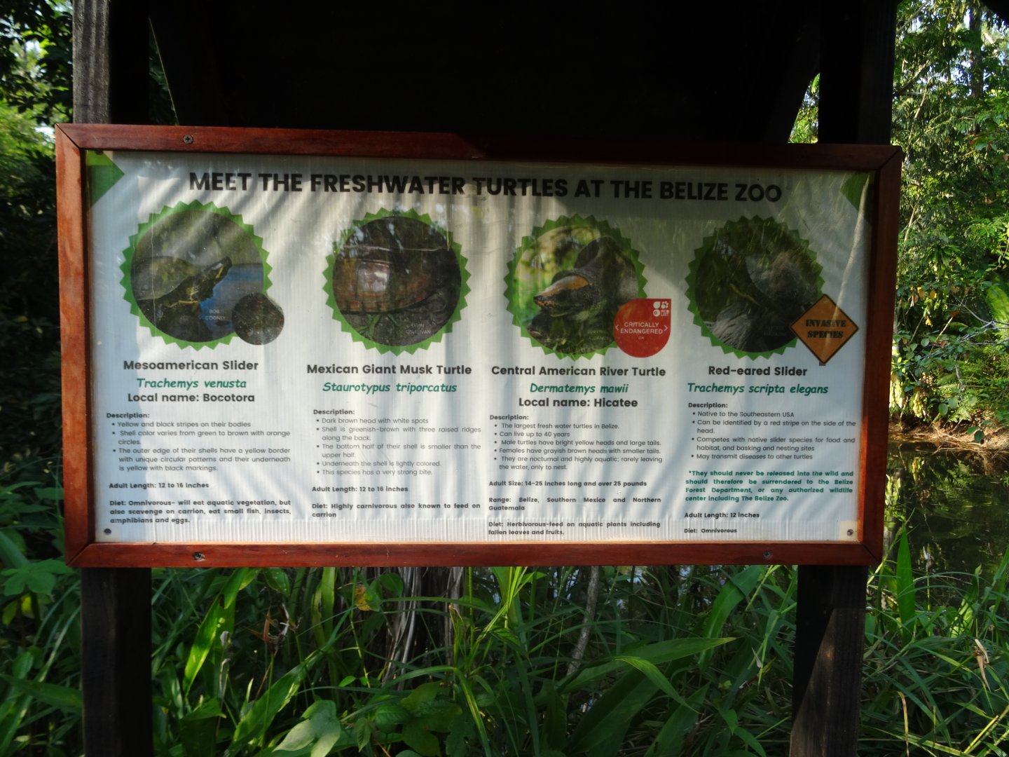 Freshwater Turtle Signage