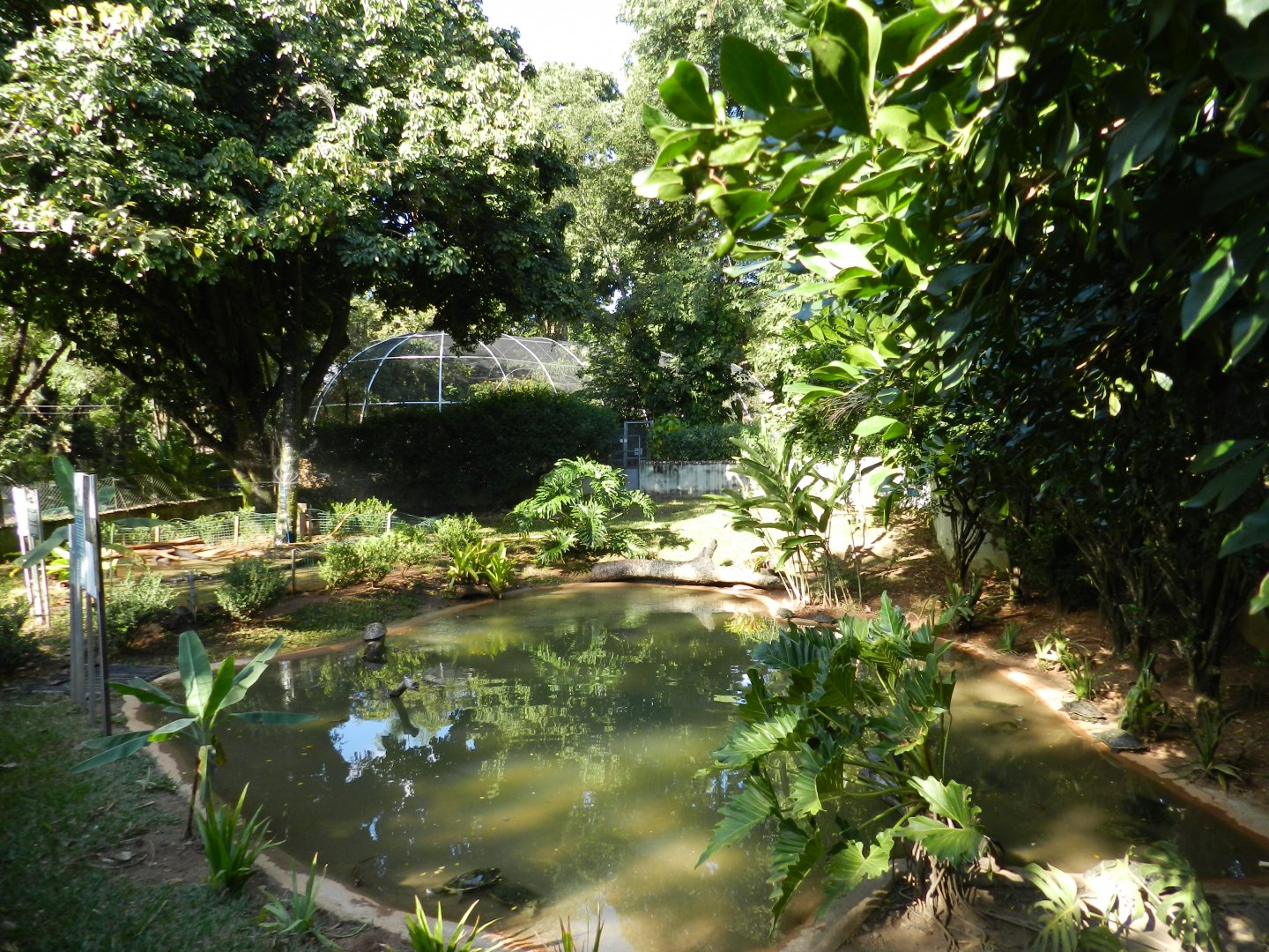 Freshwater turtles exhibit - Belo Horizonte zoo