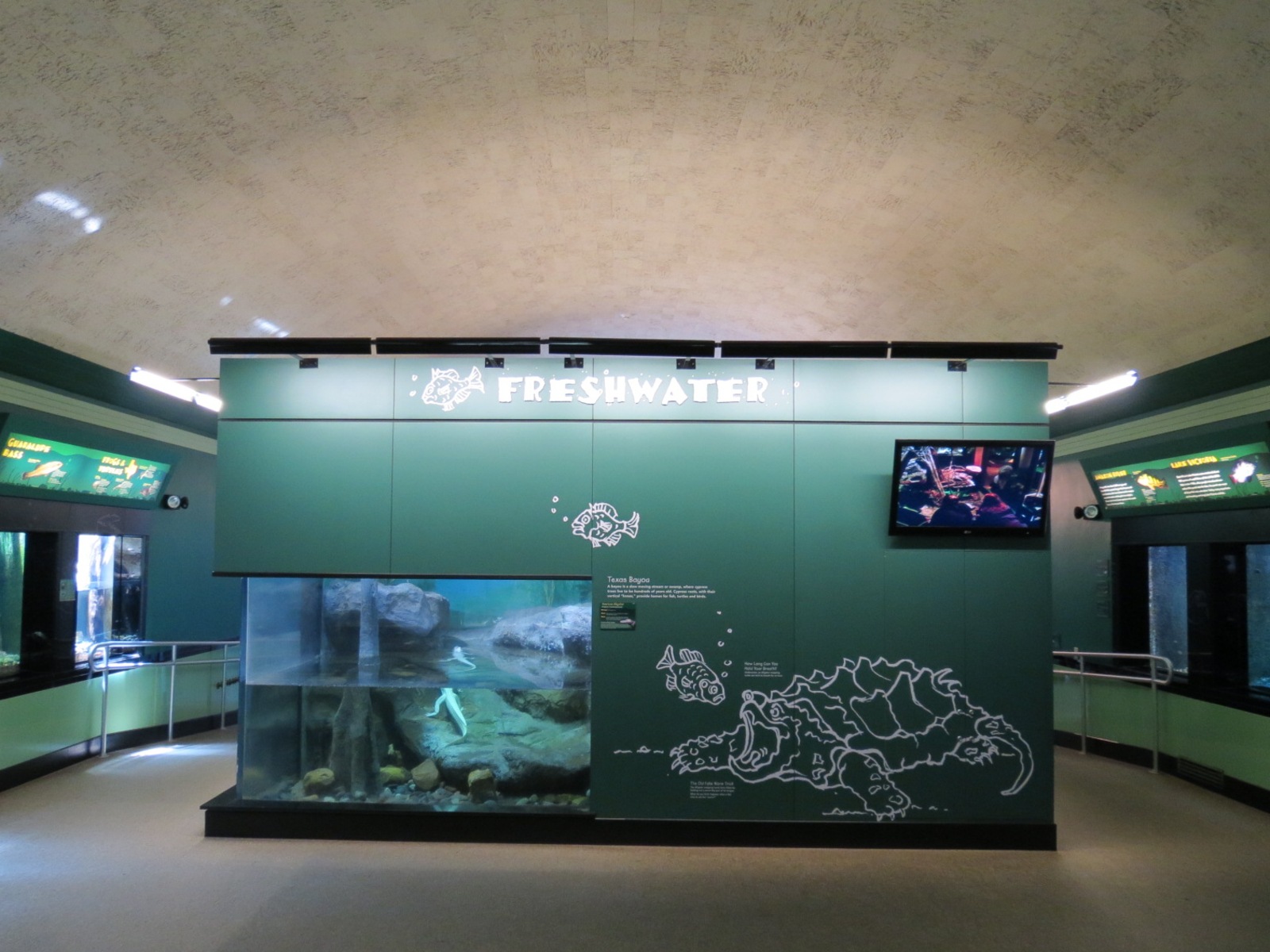 Freshwater Zone with Texas Bayou Exhibit