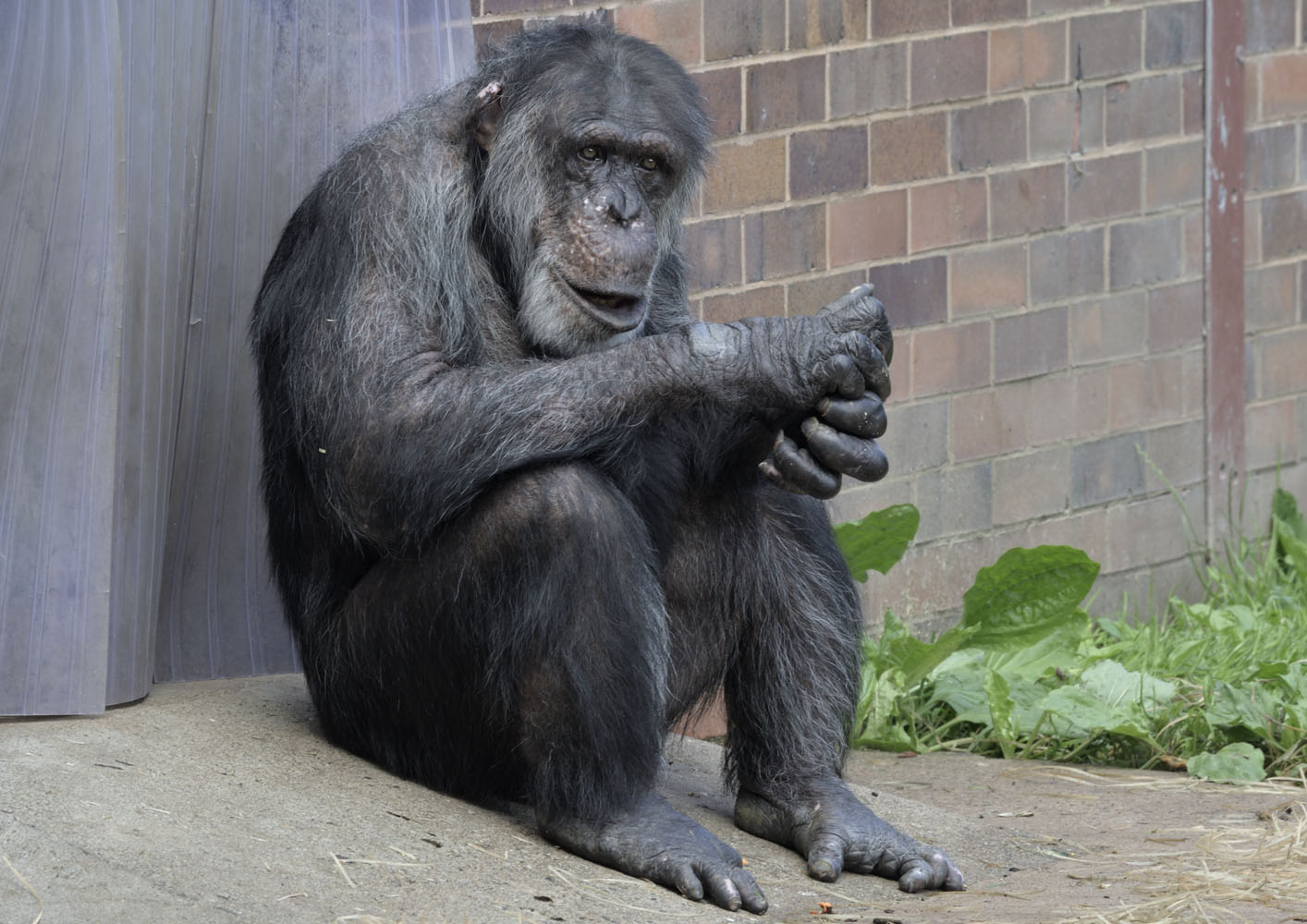 Friday after plastic surgery