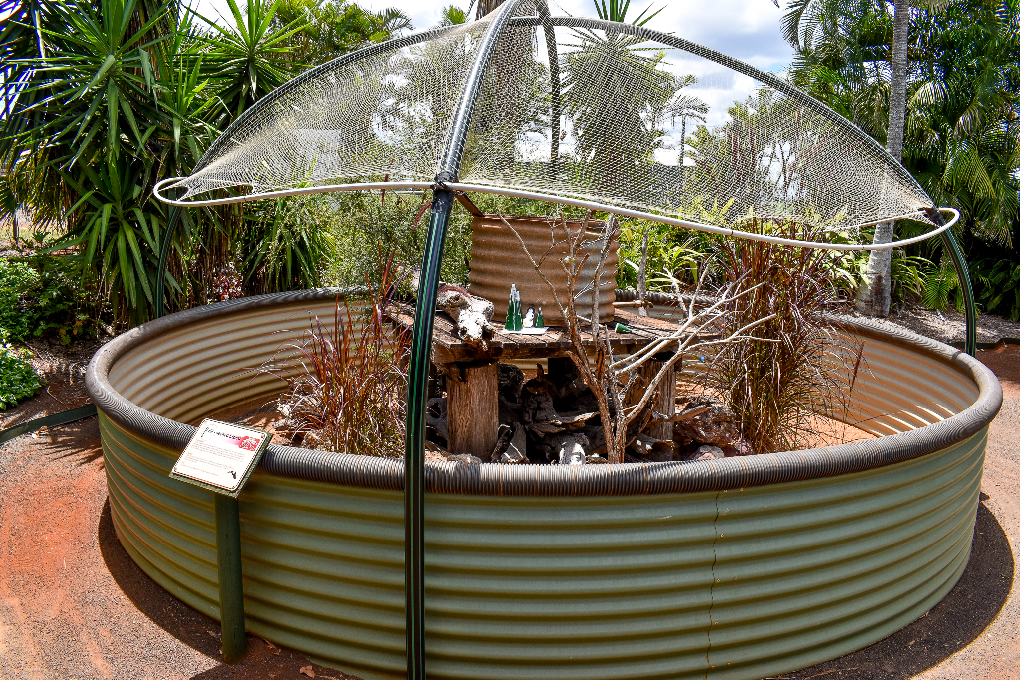 Frilled Dragon Enclosure