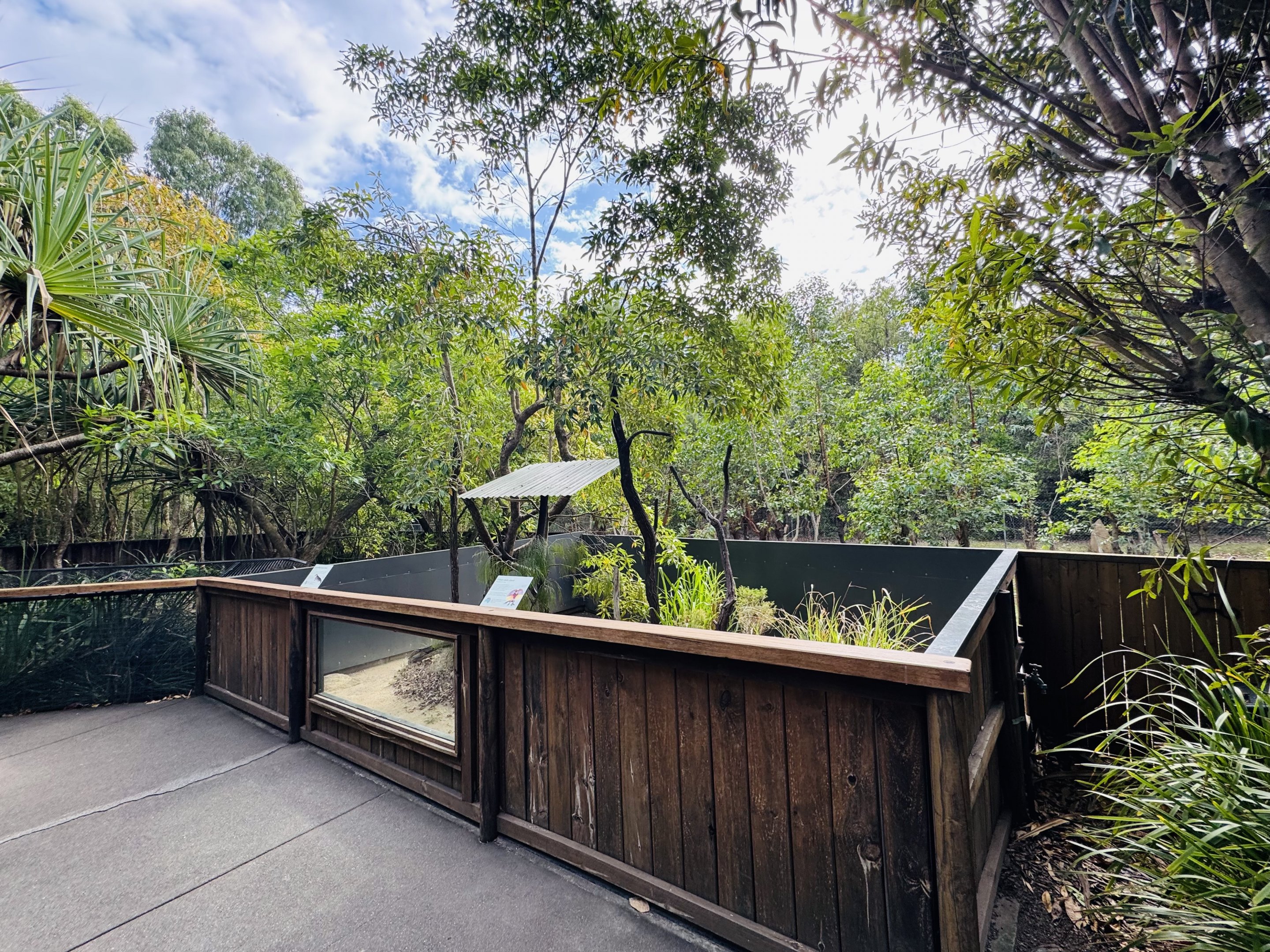 Frilled dragon enclosure