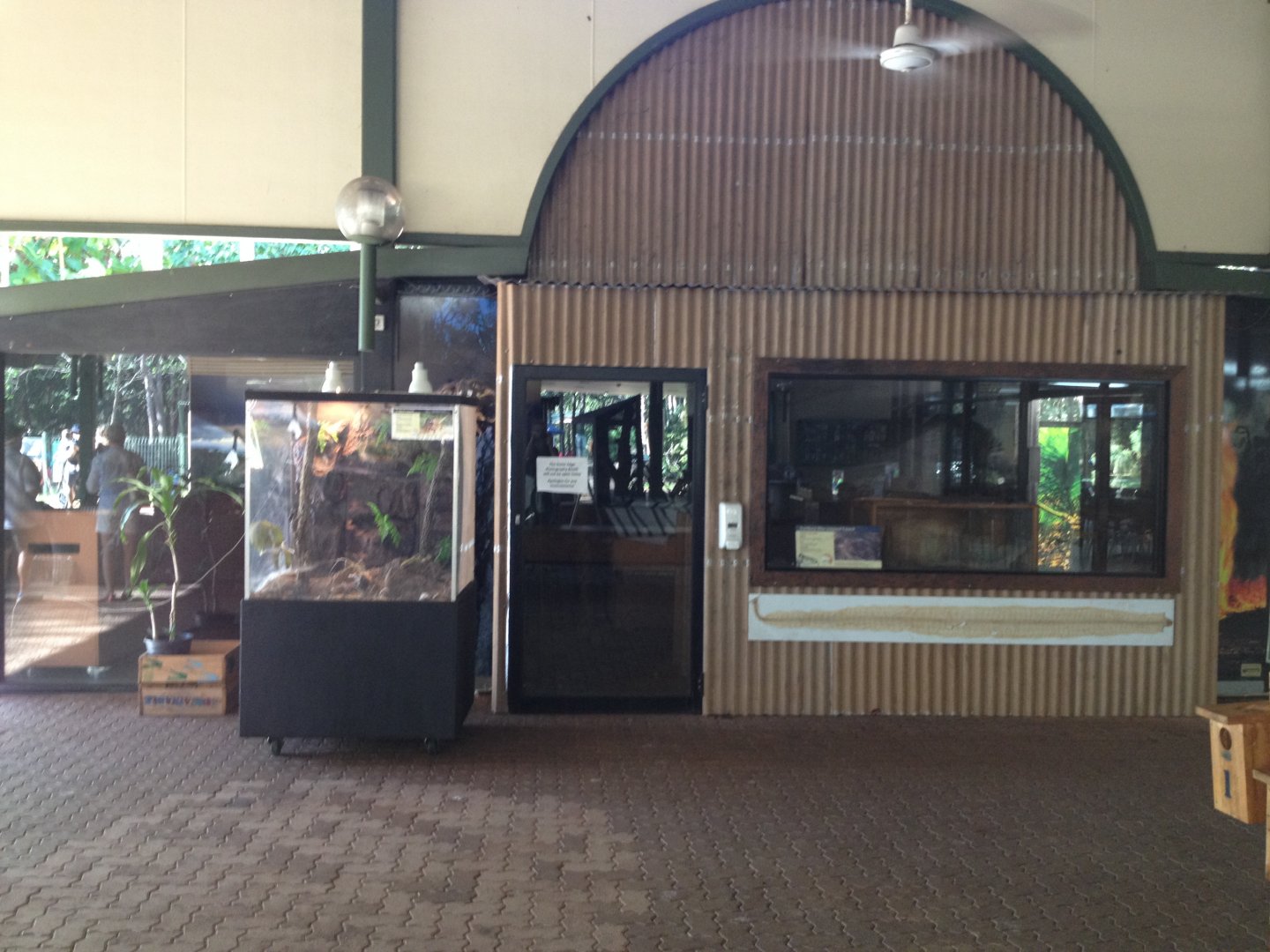 Frilled Lizard enclosure (left) & Northern Blue-tongued Lizard enclosure (right)