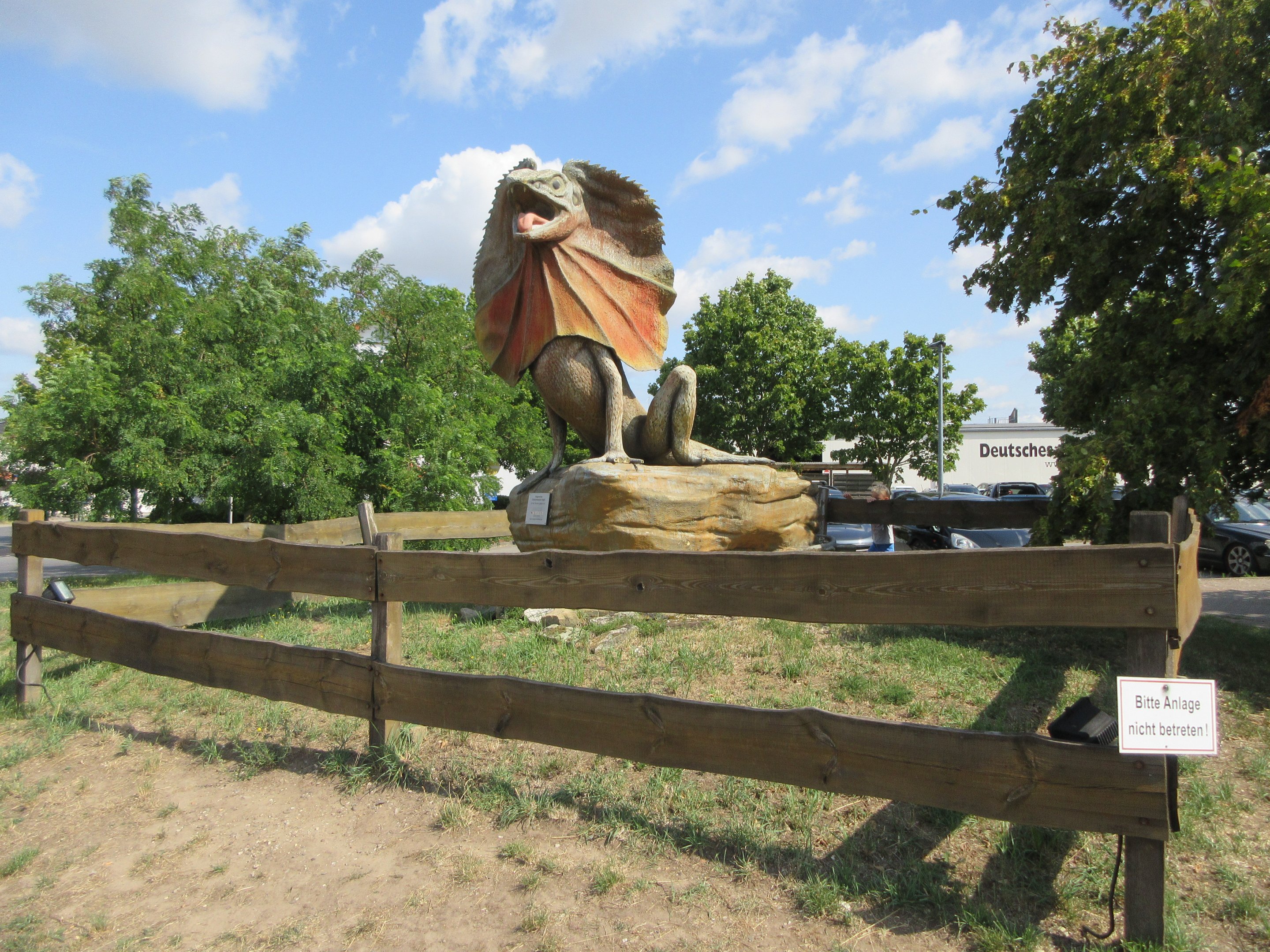 Frilled Lizard Statue (enormous!)